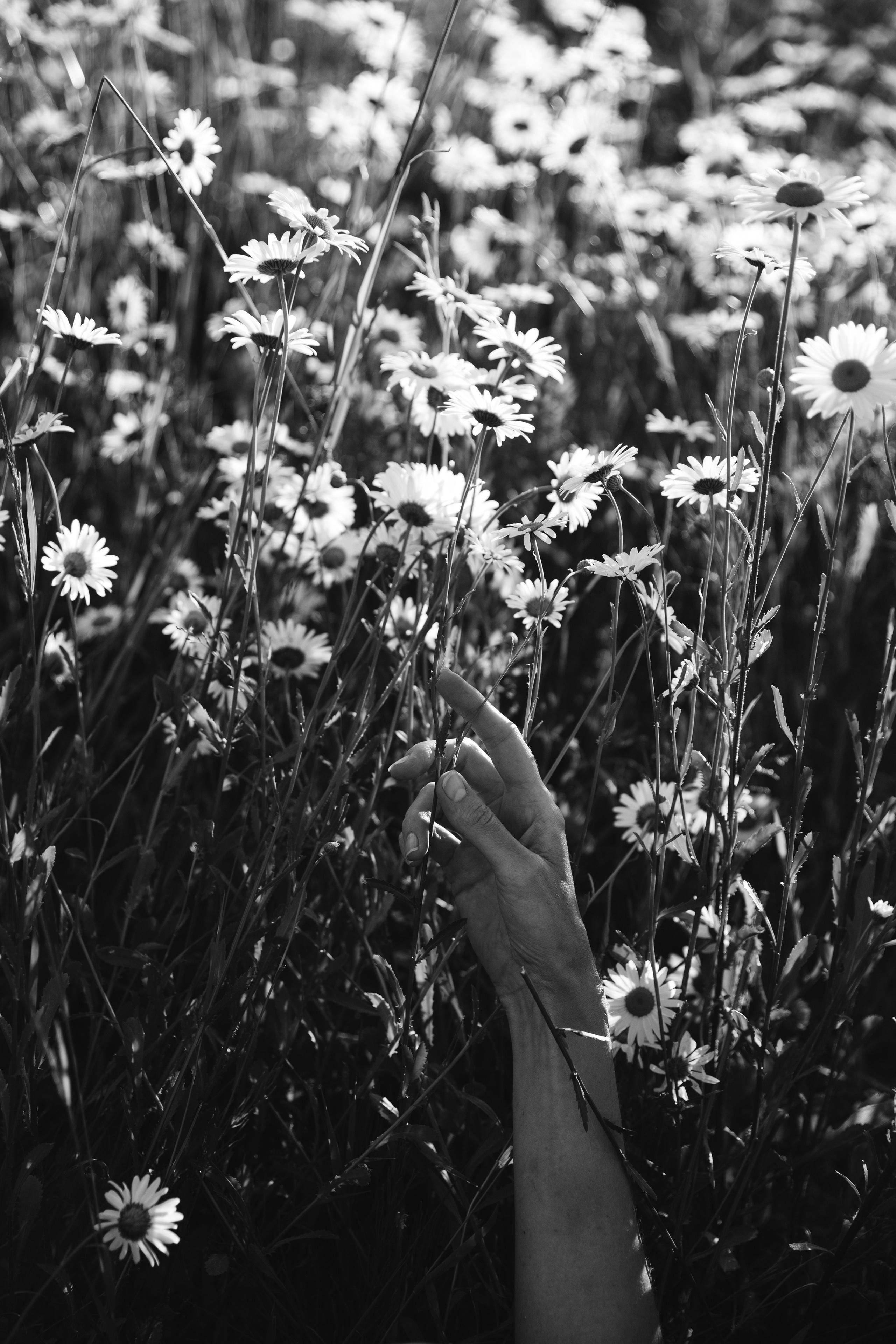 Женский портрет. Екатерина Денисова, фотограф, Москва