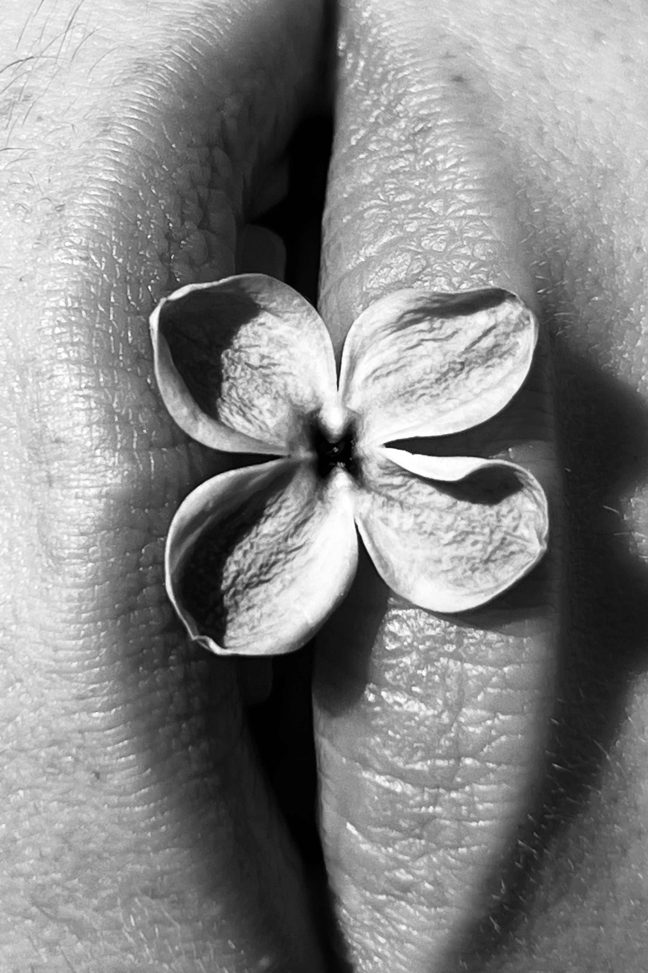 Женский портрет. Екатерина Денисова, фотограф, Москва