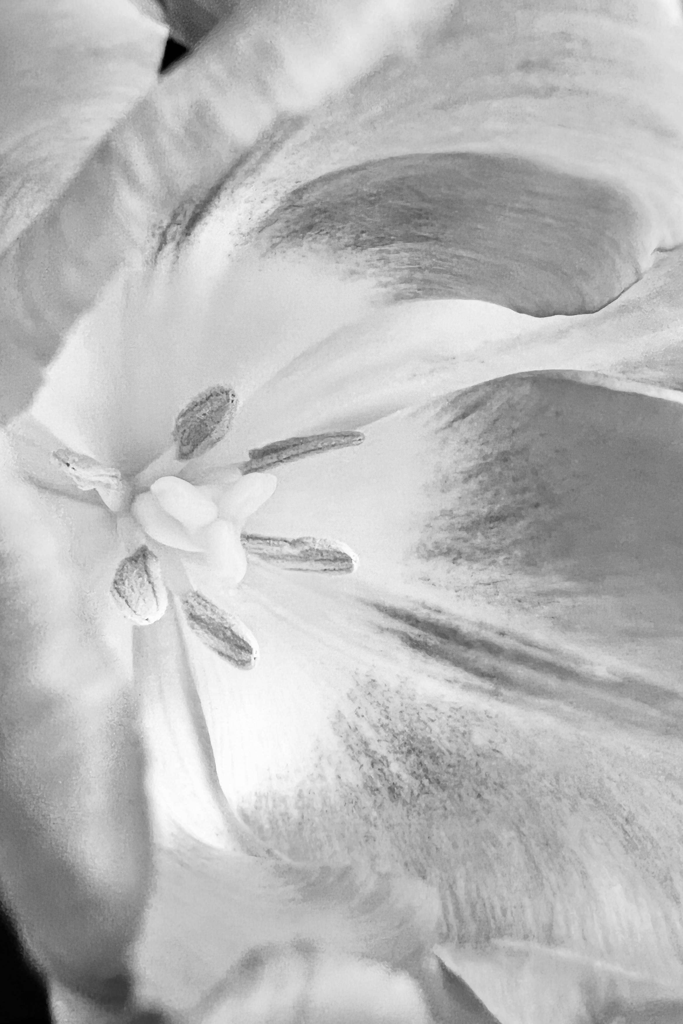 Женский портрет. Екатерина Денисова, фотограф, Москва