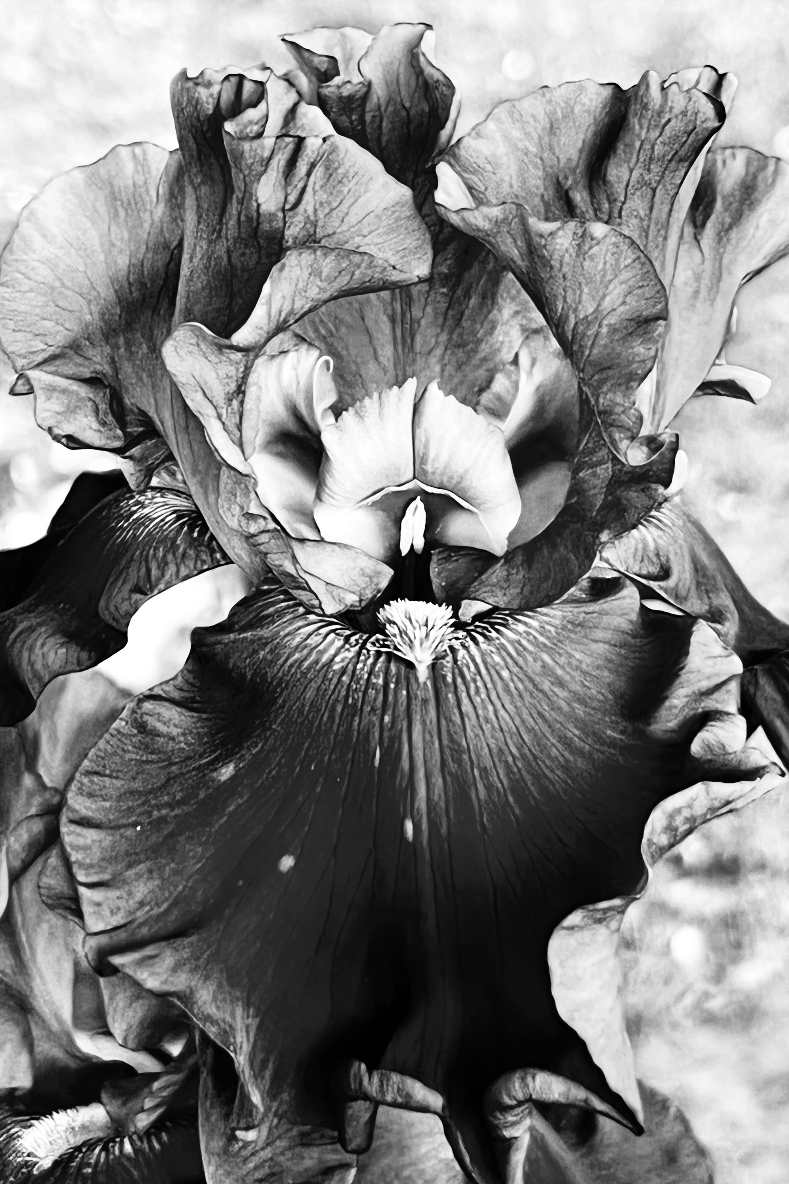 Женский портрет. Екатерина Денисова, фотограф, Москва