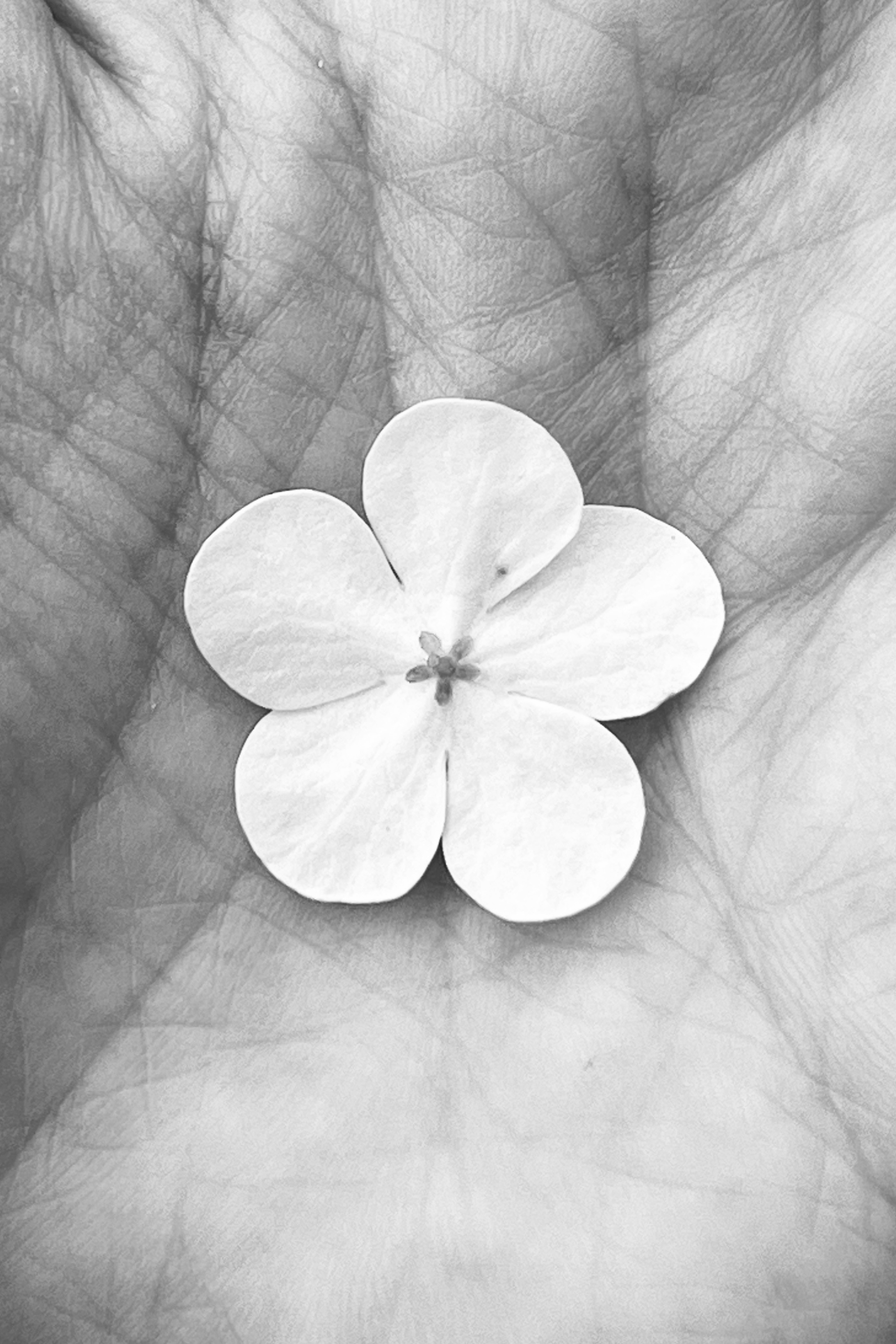 Женский портрет. Екатерина Денисова, фотограф, Москва