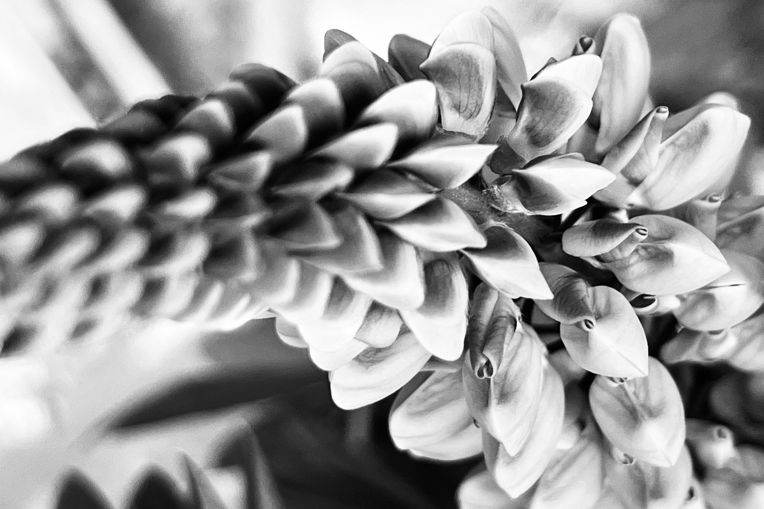 Женский портрет. Екатерина Денисова, фотограф, Москва