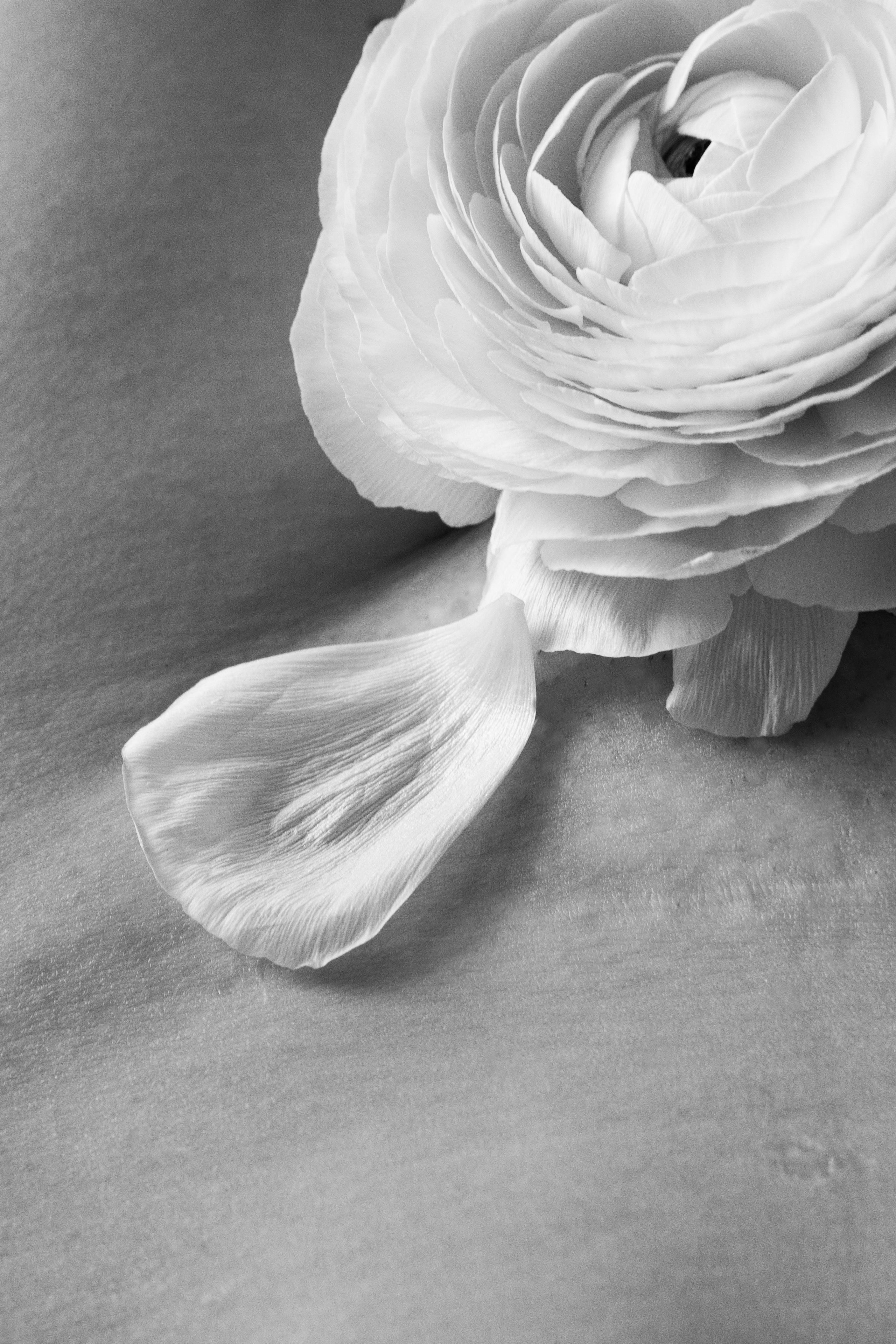 Женский портрет. Екатерина Денисова, фотограф, Москва