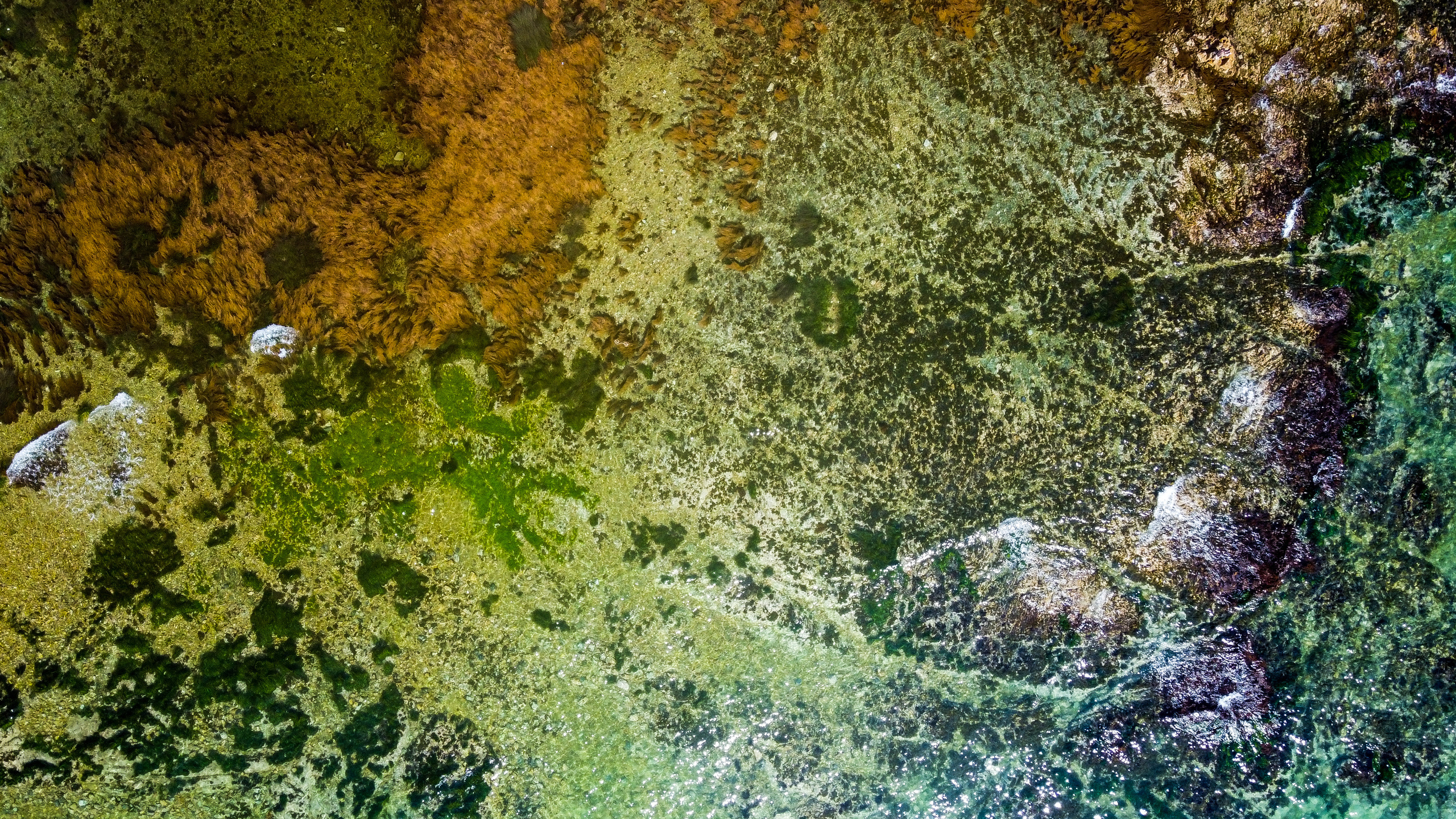 Аэросъёмка. Фотограф Валентин Кольцов, фотограф владивосток, свадебный фотограф, с