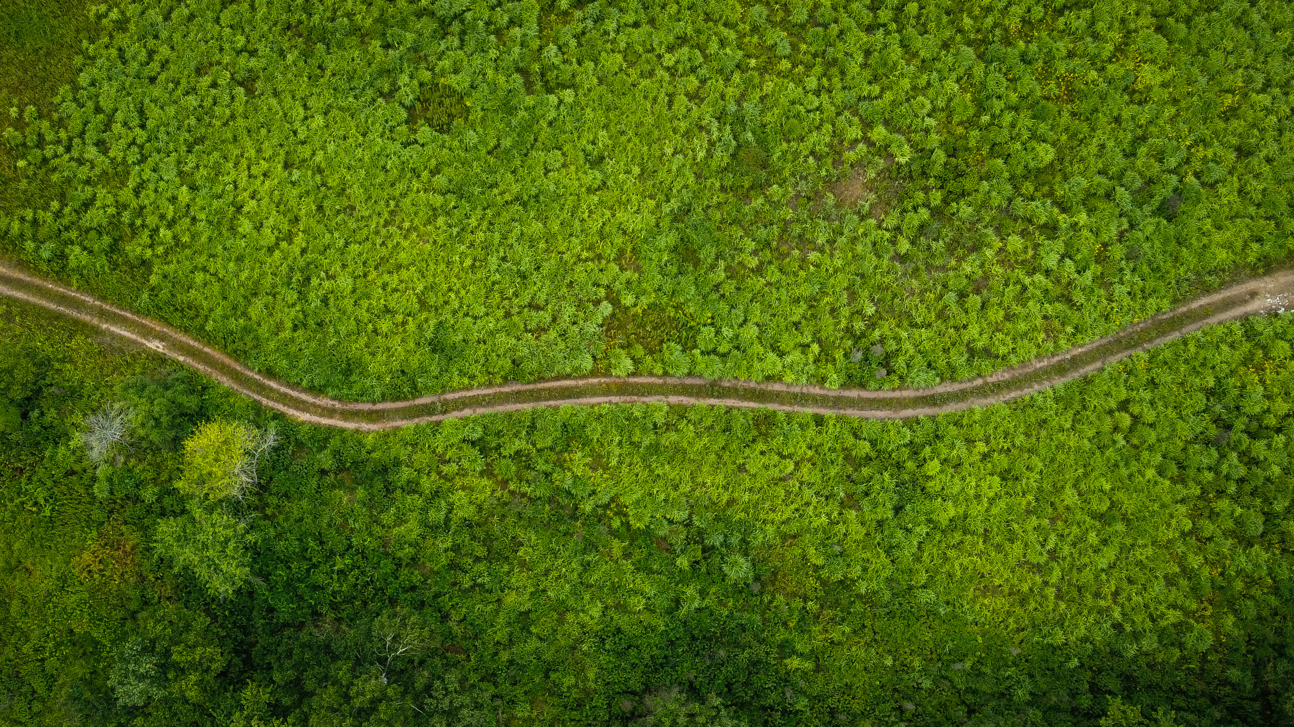 Аэросъёмка. Фотограф Валентин Кольцов, фотограф владивосток, свадебный фотограф, с