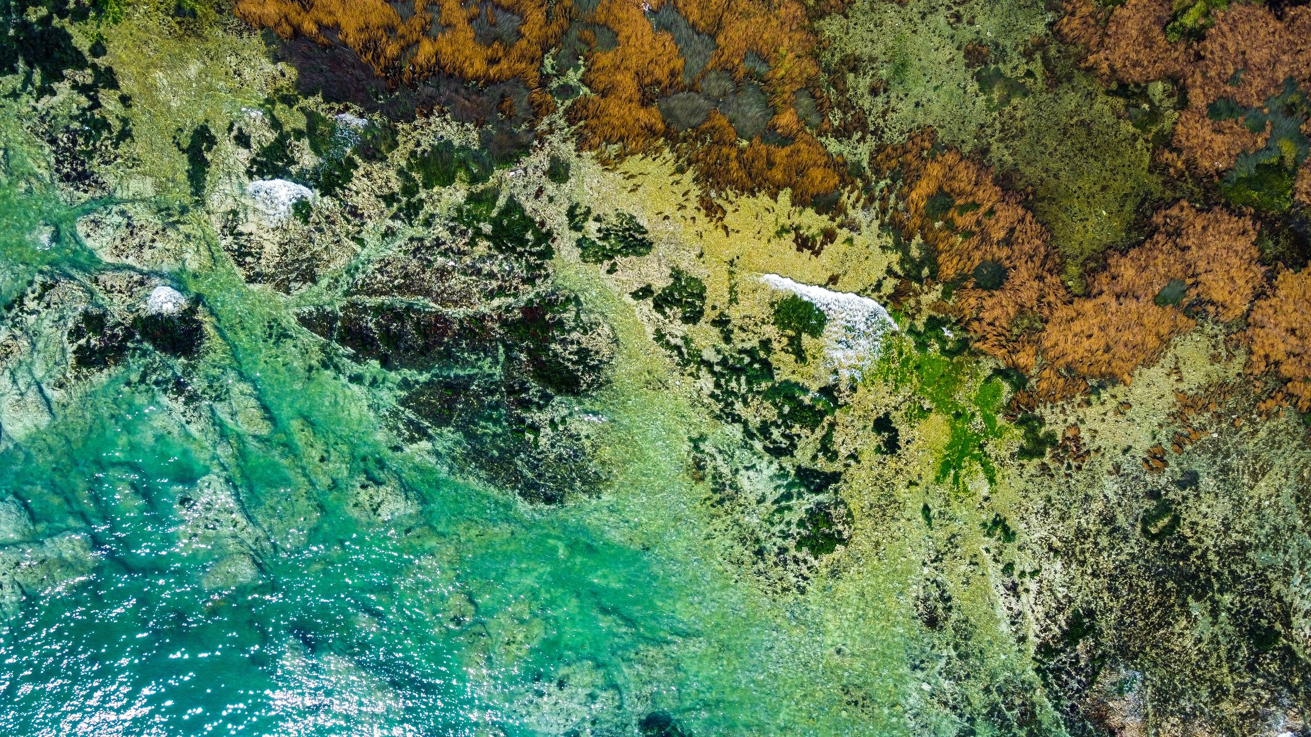 Аэросъёмка. Фотограф Валентин Кольцов, фотограф владивосток, свадебный фотограф, с