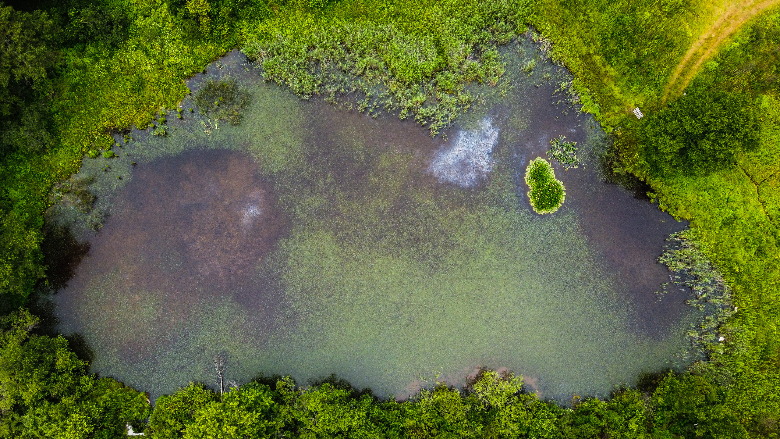 Аэросъёмка. Фотограф Валентин Кольцов, фотограф владивосток, свадебный фотограф, с