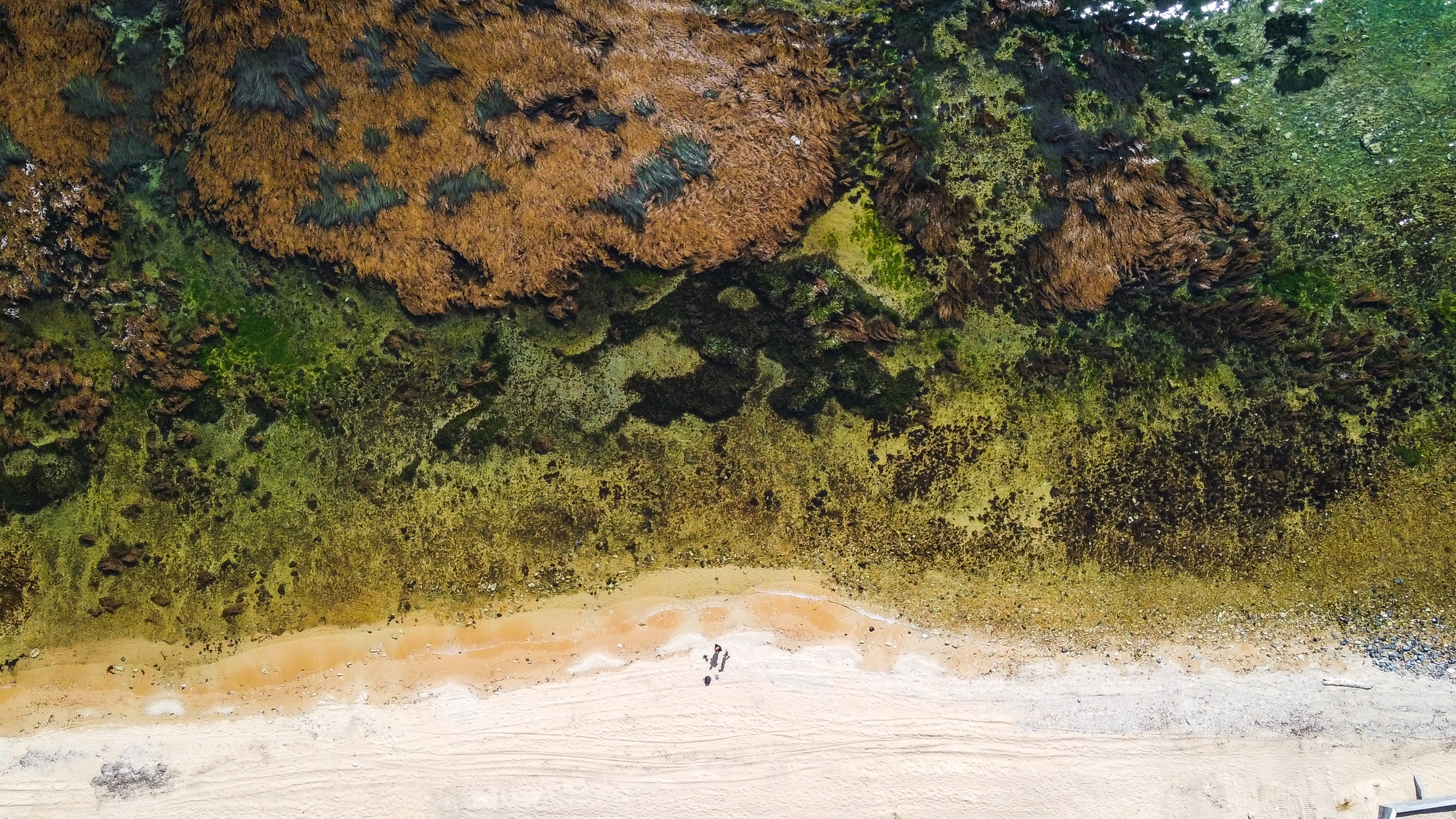 Аэросъёмка. Фотограф Валентин Кольцов, фотограф владивосток, свадебный фотограф, с