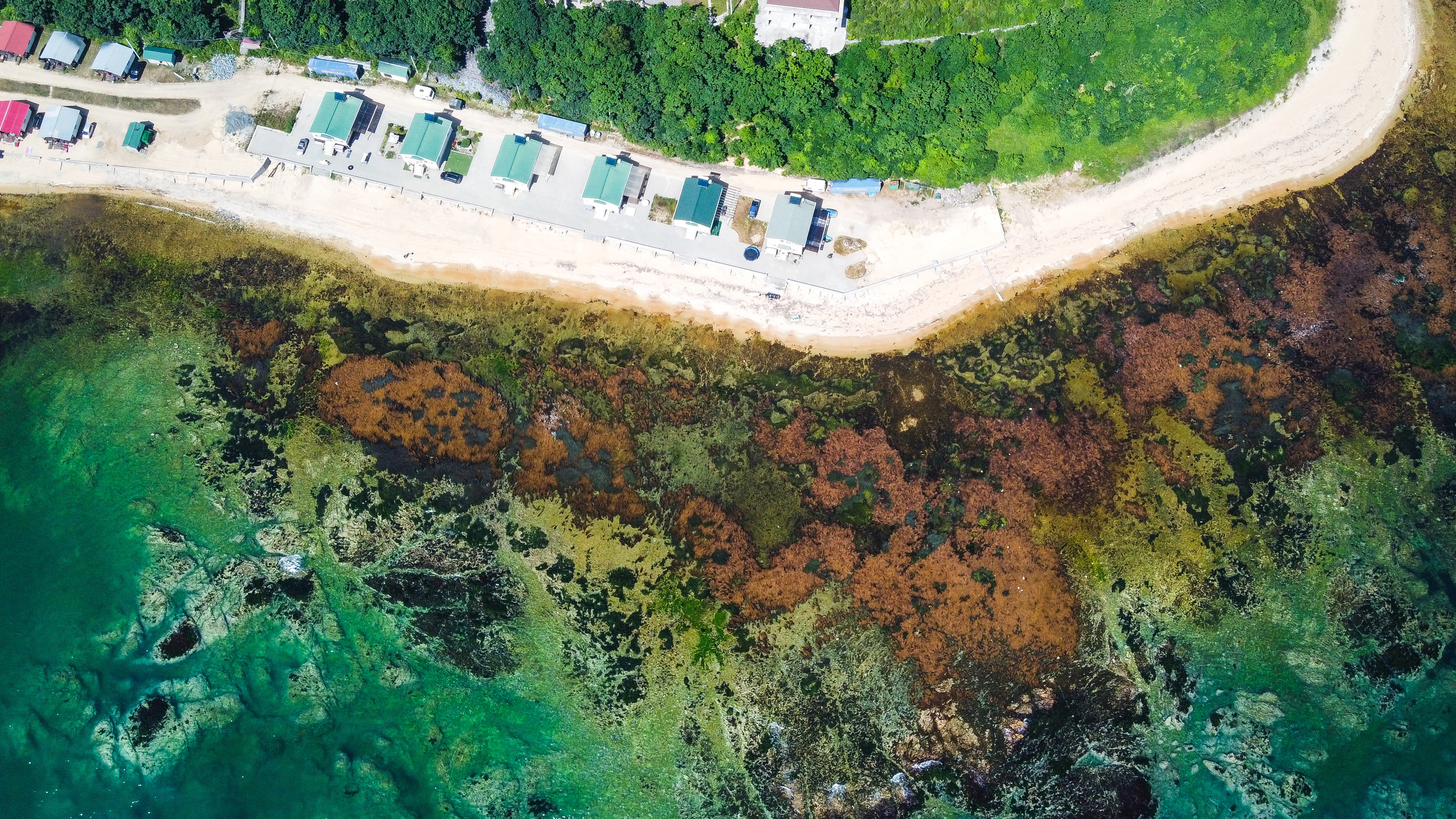 Аэросъёмка. Фотограф Валентин Кольцов, фотограф владивосток, свадебный фотограф, с