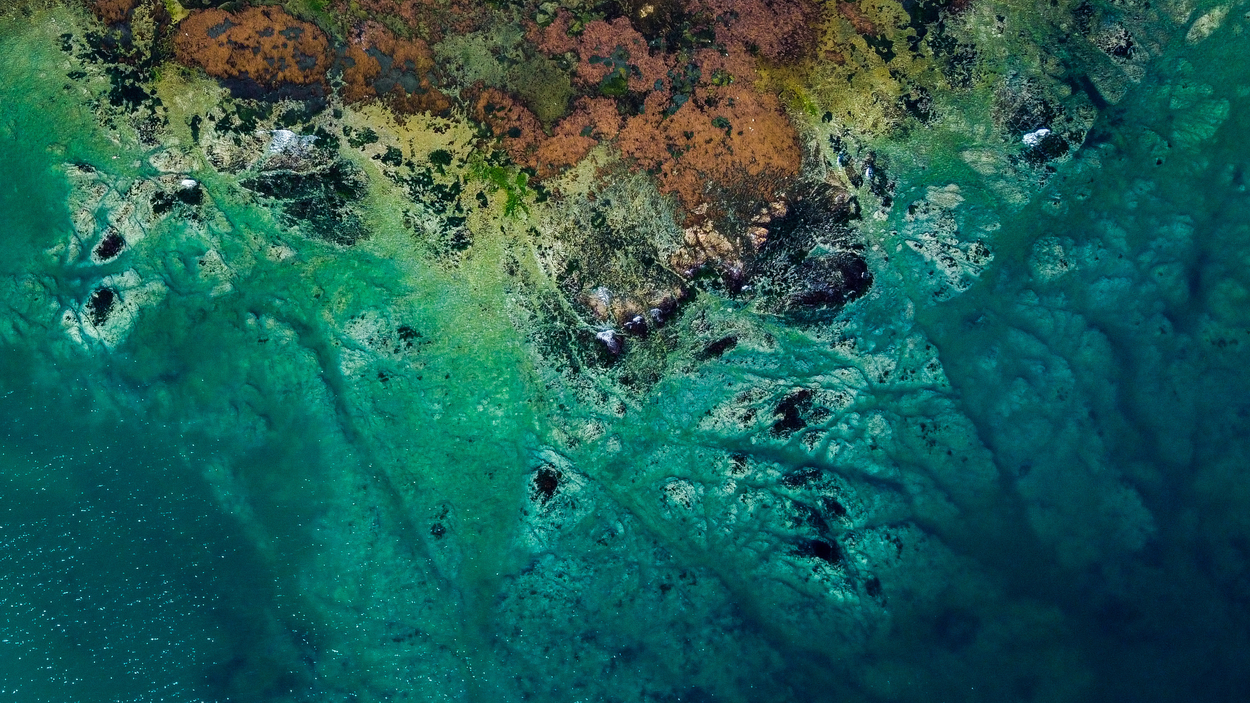 Аэросъёмка. Фотограф Валентин Кольцов, фотограф владивосток, свадебный фотограф, с