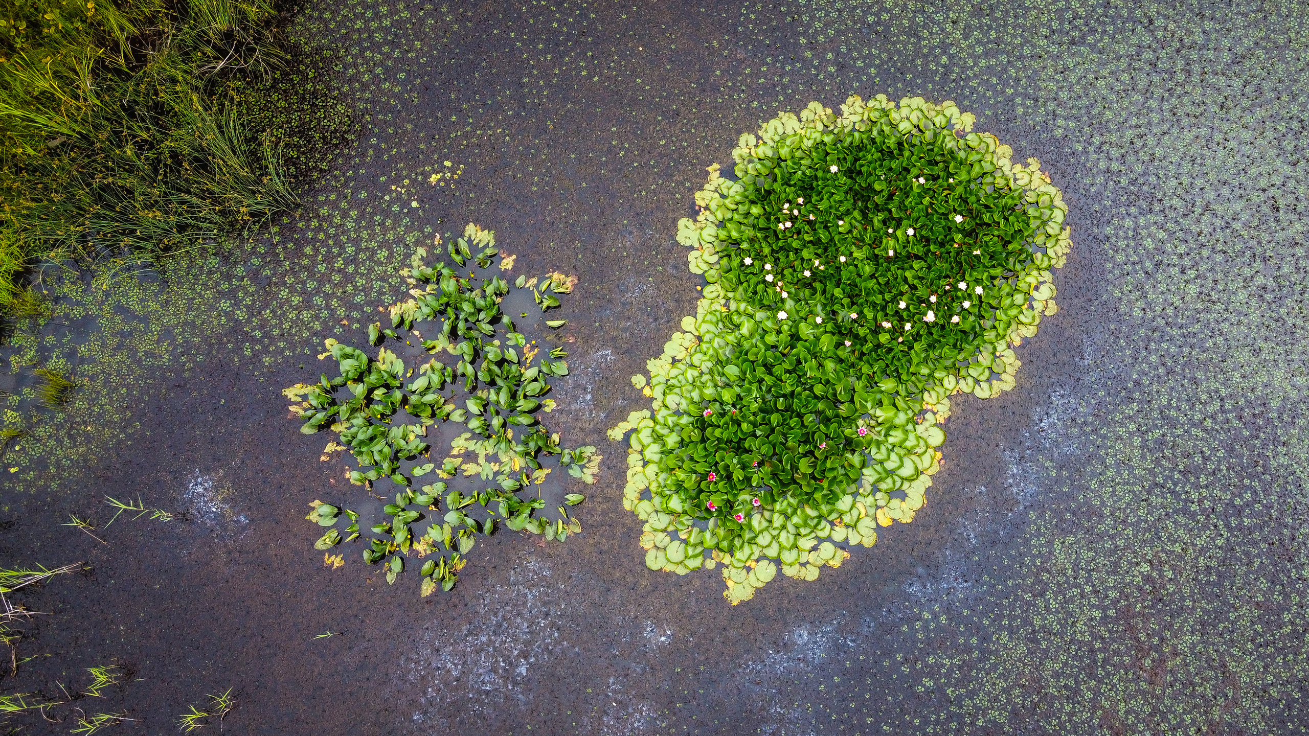 Аэросъёмка. Фотограф Валентин Кольцов, фотограф владивосток, свадебный фотограф, с