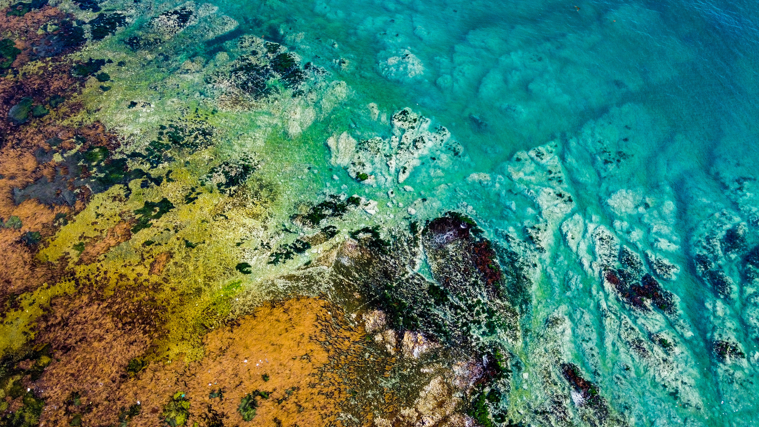 Аэросъёмка. Фотограф Валентин Кольцов, фотограф владивосток, свадебный фотограф, с