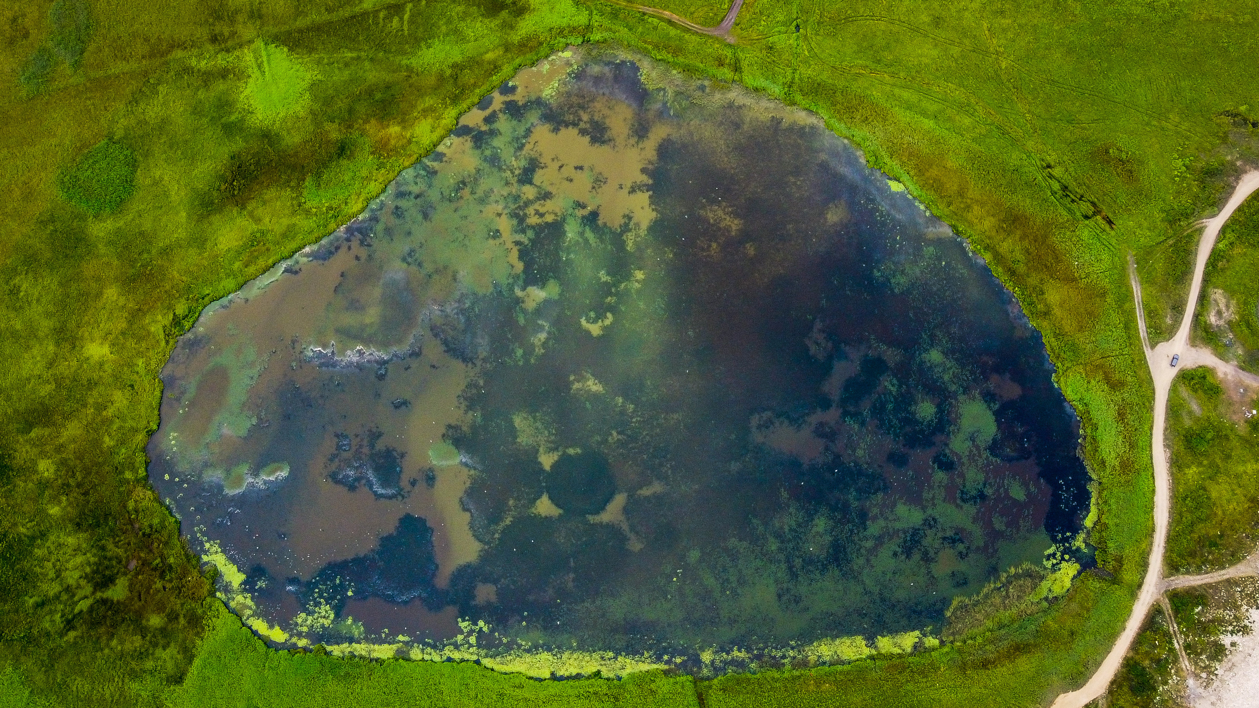 Аэросъёмка. Фотограф Валентин Кольцов, фотограф владивосток, свадебный фотограф, с