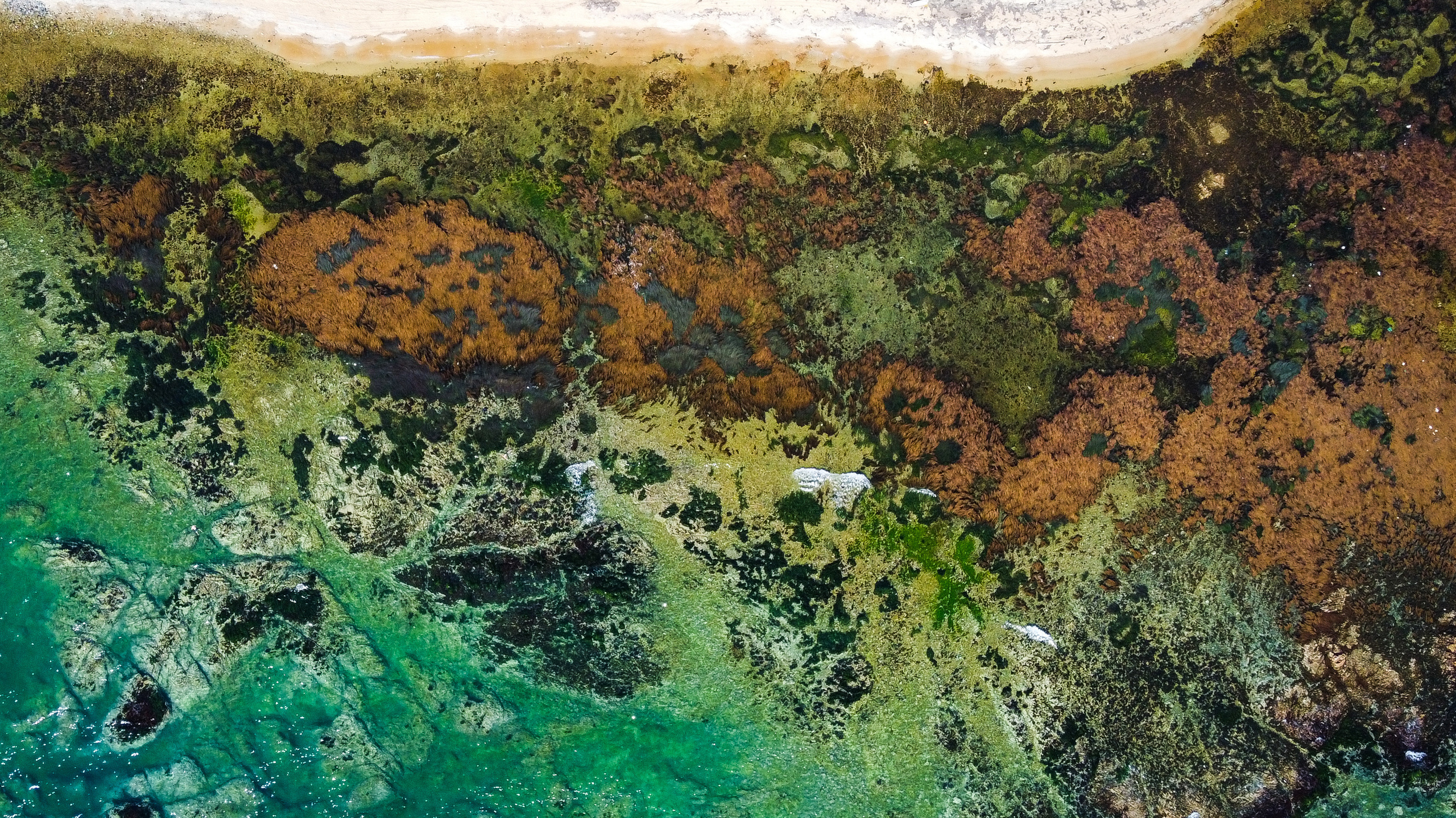 Аэросъёмка. Фотограф Валентин Кольцов, фотограф владивосток, свадебный фотограф, с