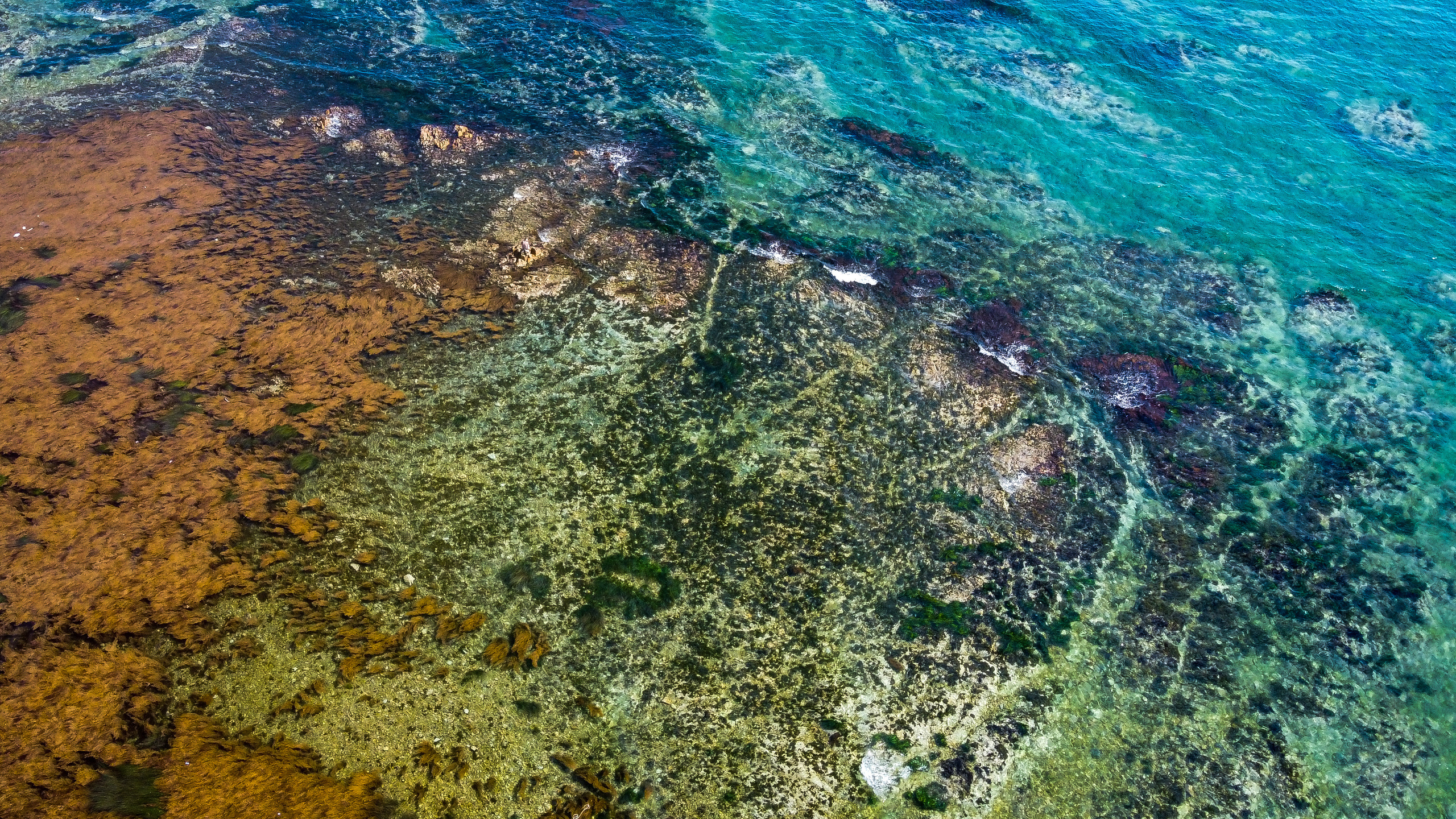 Аэросъёмка. Фотограф Валентин Кольцов, фотограф владивосток, свадебный фотограф, с