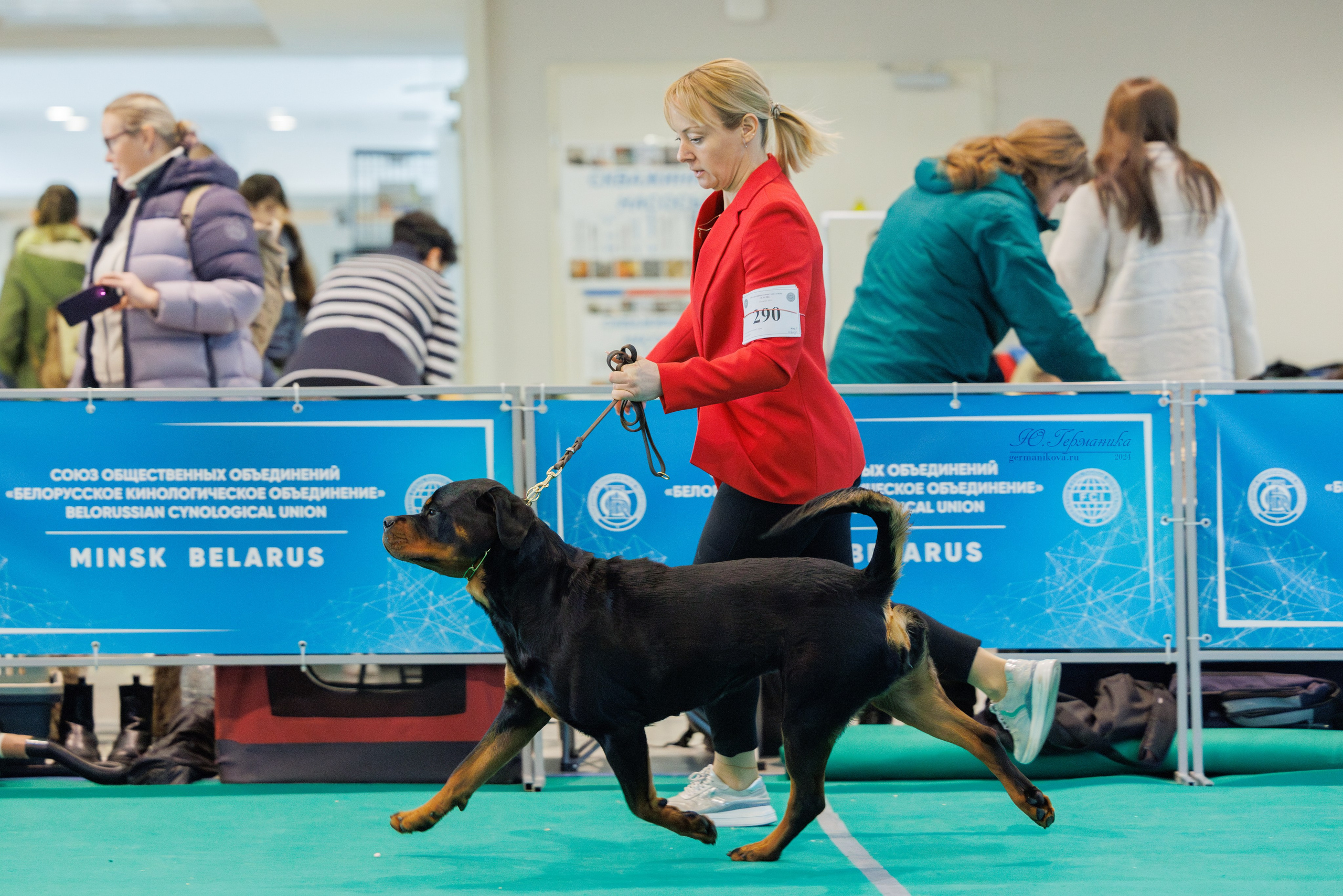 Минск 23.11.2024. Фотограф-анималист Юлия Германика