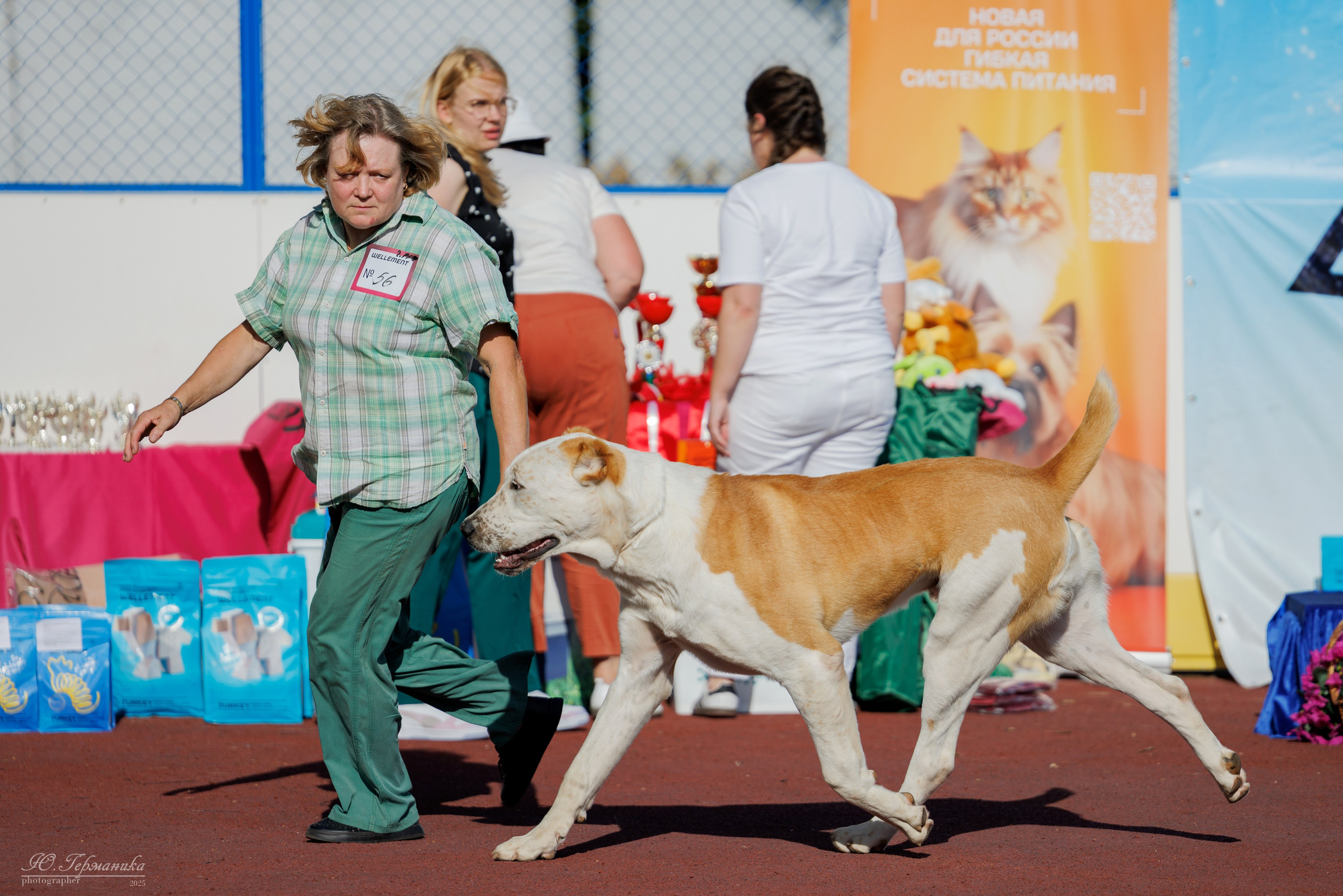 Коломна 30.08.2025. Фотограф-анималист Юлия Германика