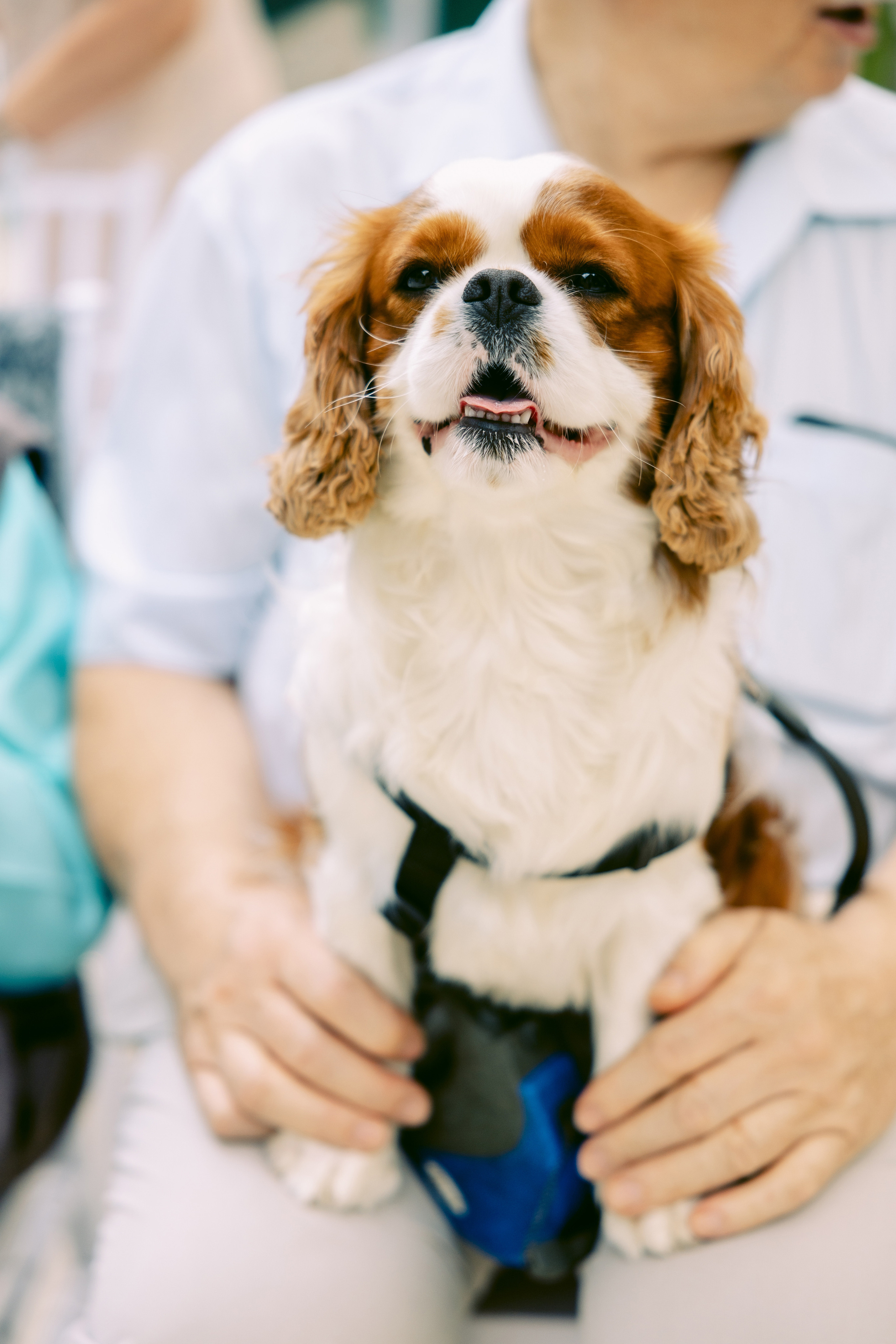 Вместе и навсегда. Репортажный и студийный фотограф в Москве — Софи