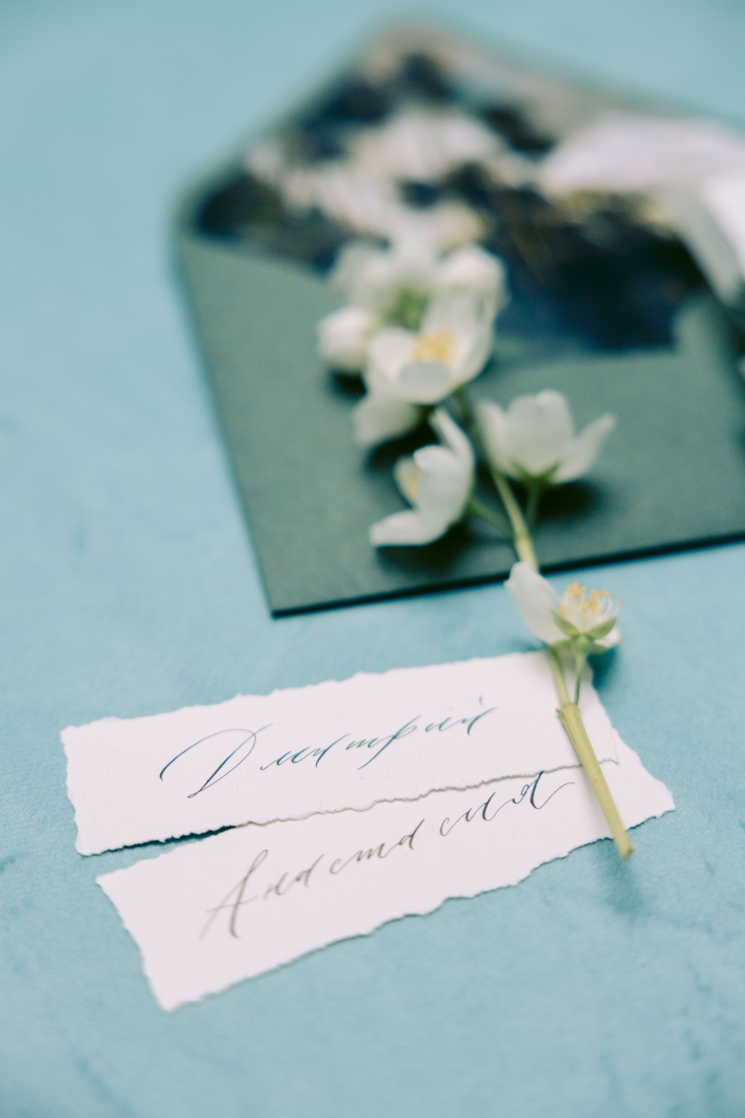 Свадьба в лесу. Репортажный и студийный фотограф в Москве — Софи