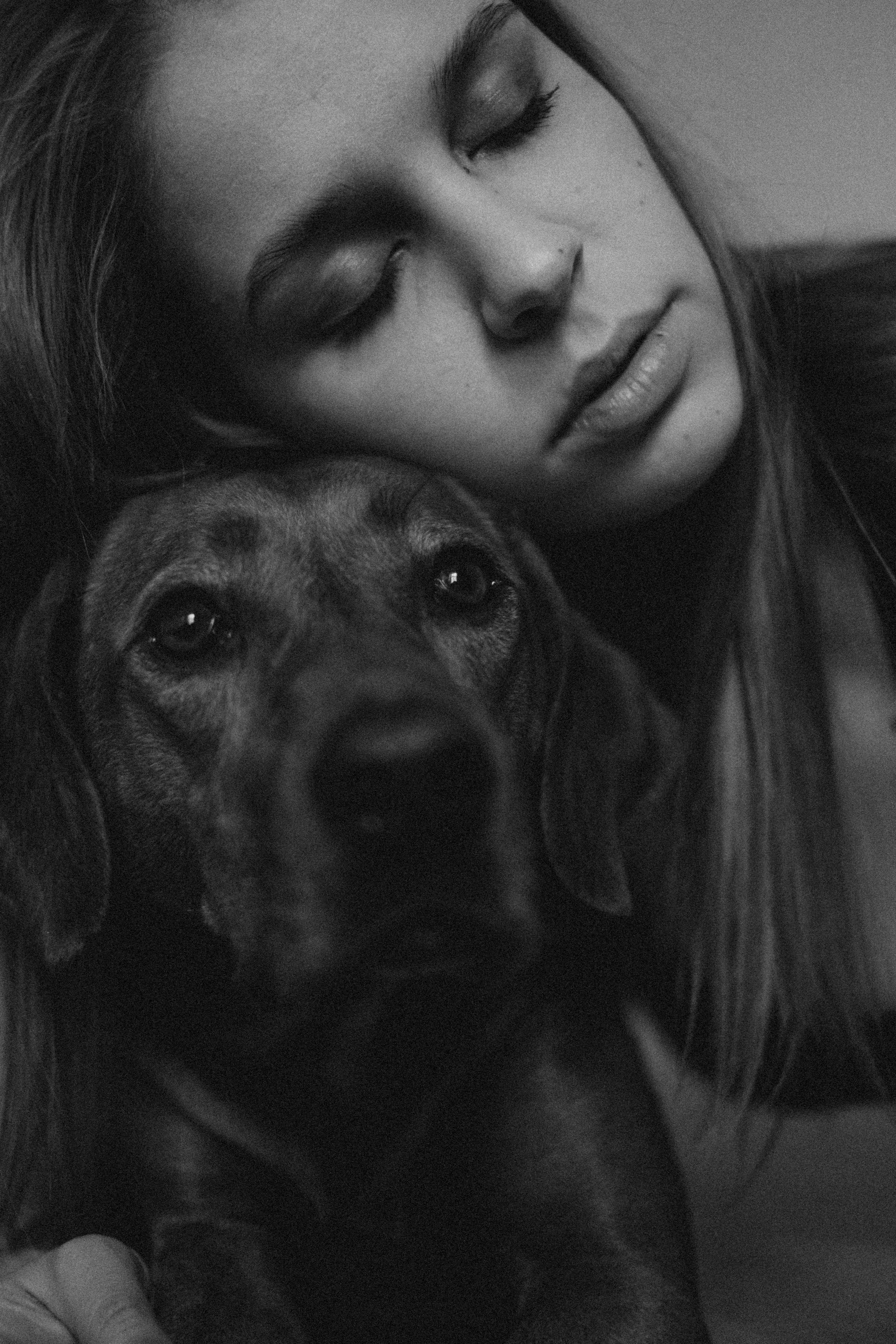 Лучшие друзья. Семейный фотограф и анималист в Москве Анна Иванова