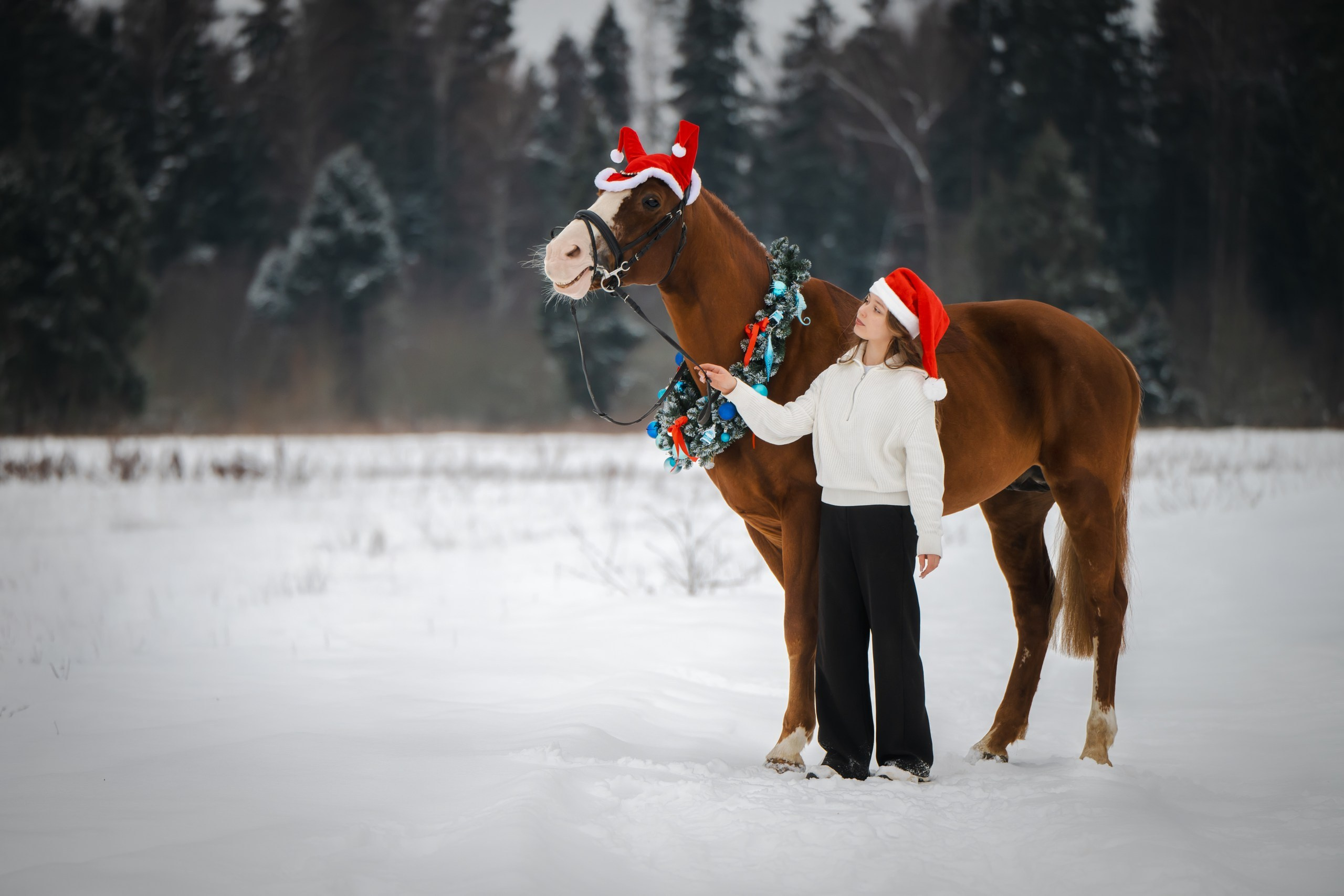 Виктория и Лео. Фотограф Анималист в Москве Анастасия Жучкова