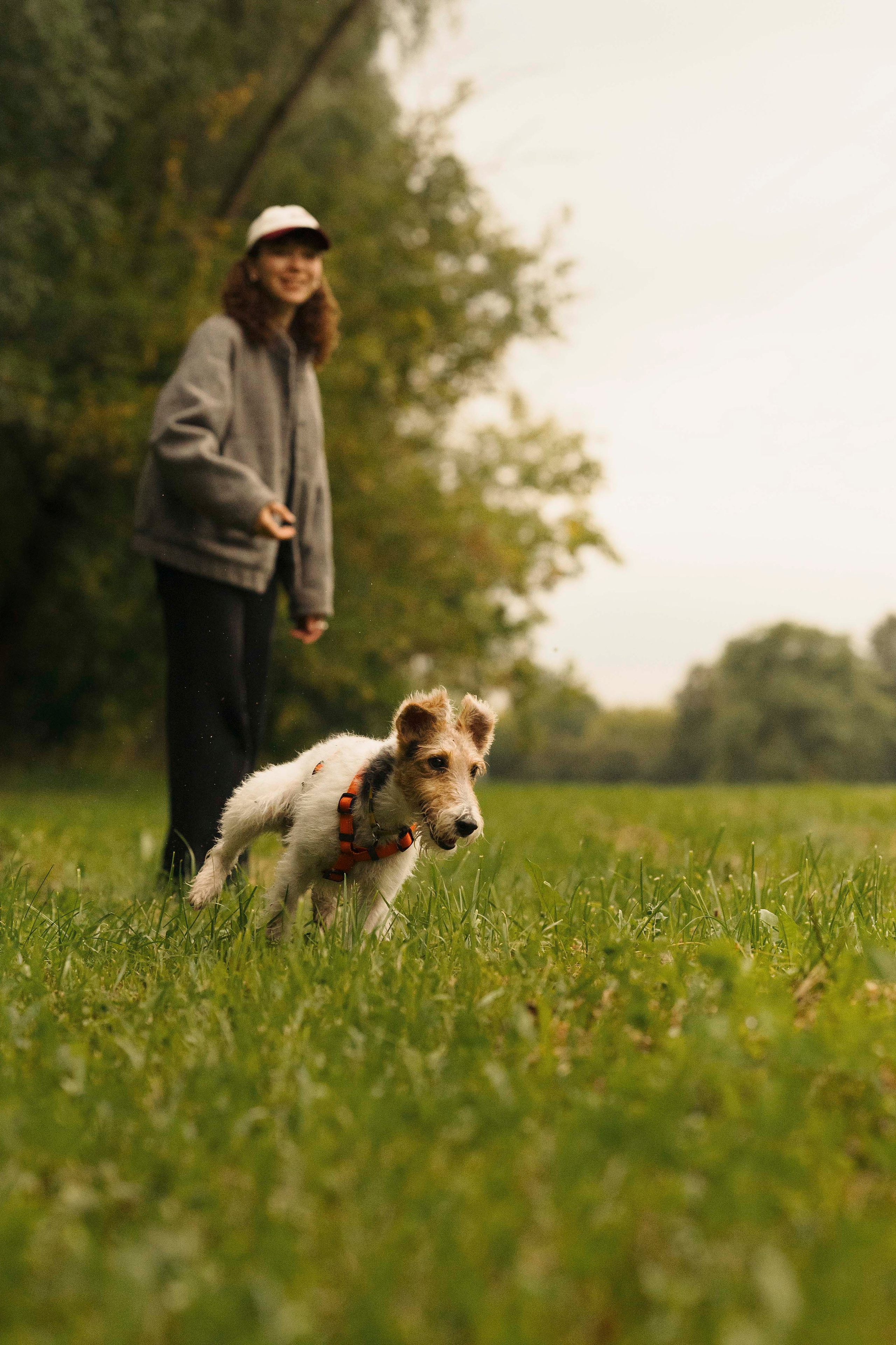 Мартин. Фотограф- анималист Александра Матвеева