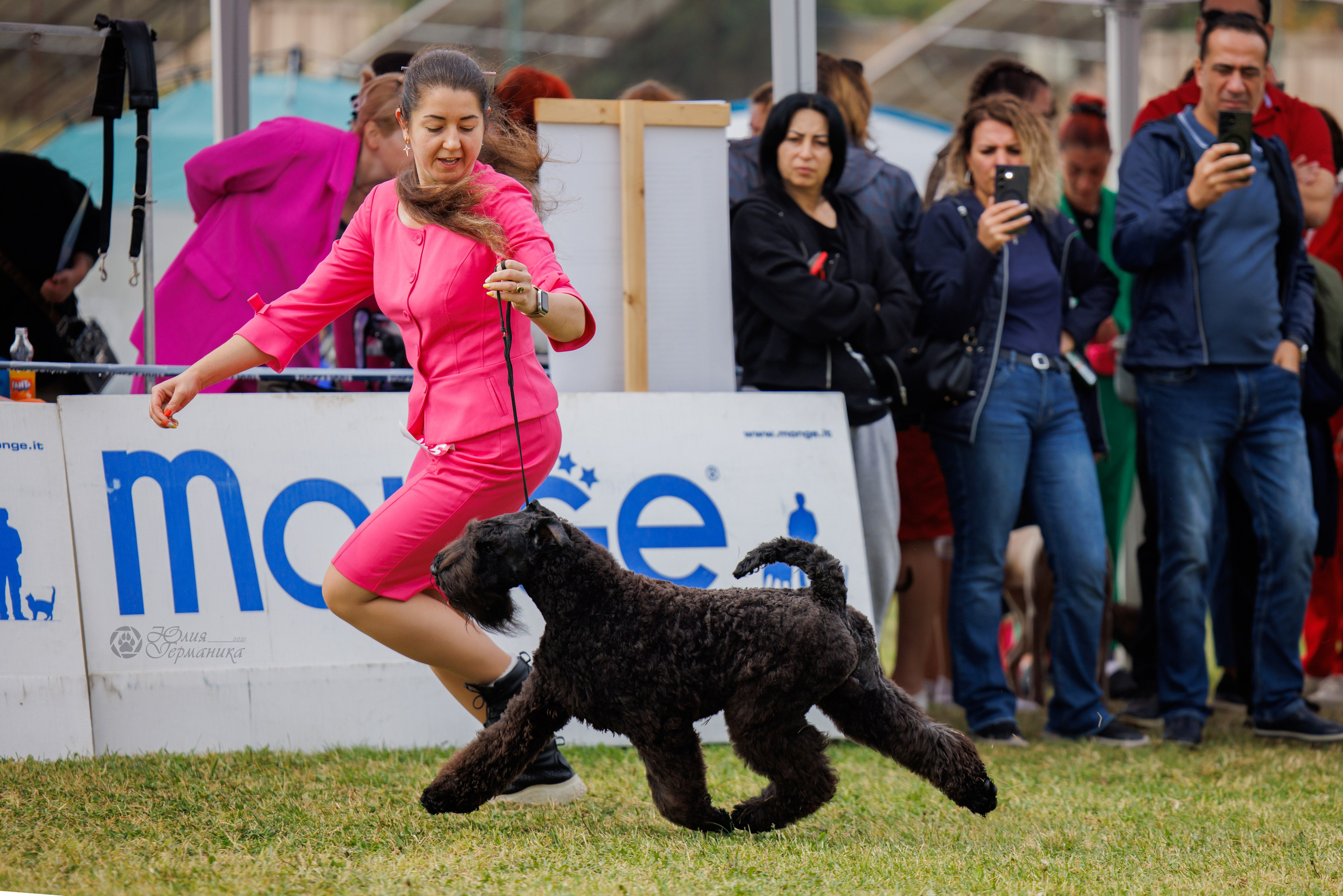 Армения,Ереван 3хCACIB 15-17.10.2024. Фотограф-анималист Юлия Германика