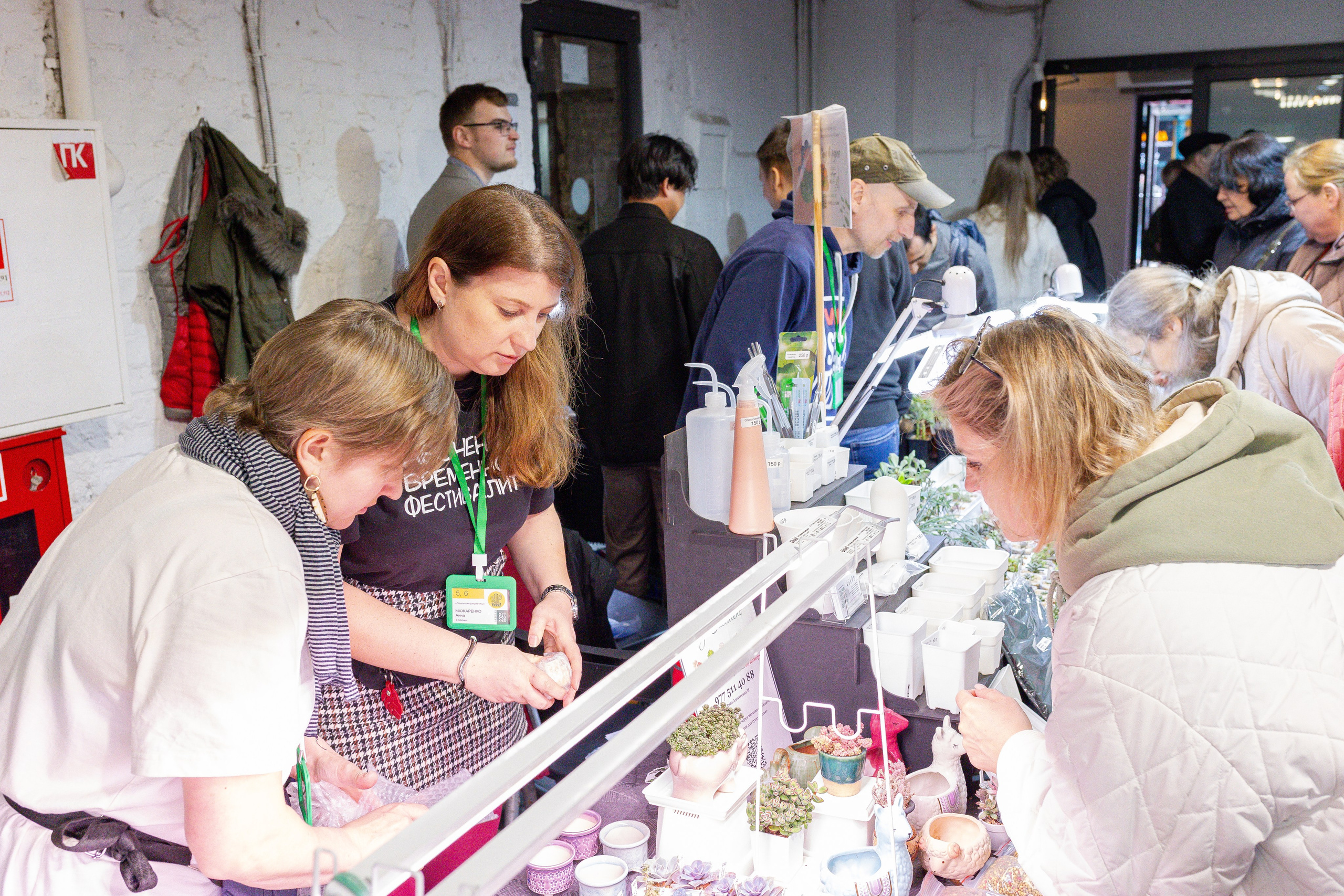 Кактус Фест. Александра Куликова фотограф, Москва