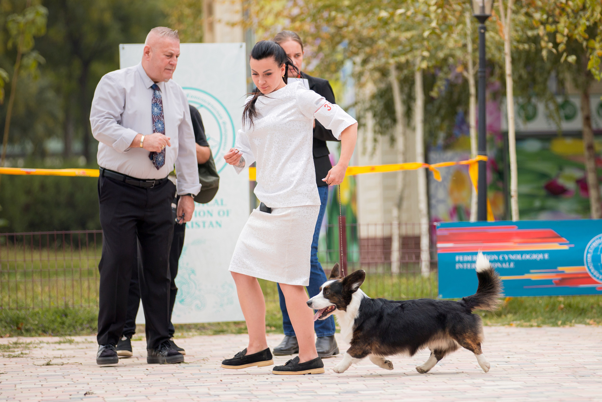 Ташкент 6-8.10.2023 + Алматы 14-15.10.2023. Фотограф-анималист Юлия Германика