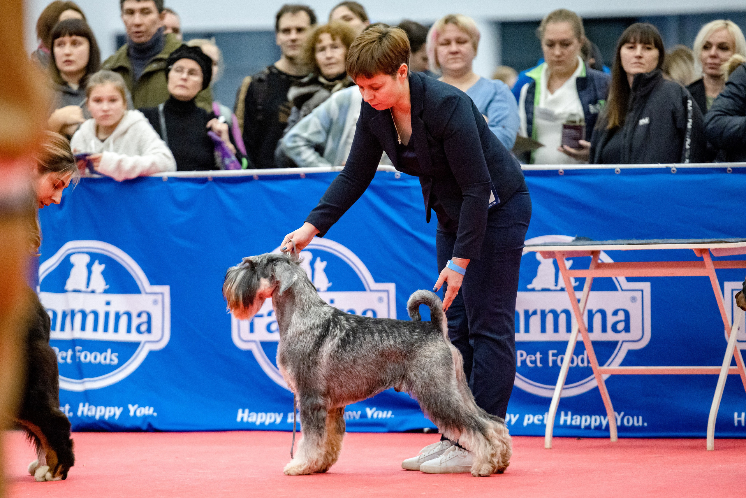 Нижний Новгород 21-22.10.2023. Фотограф-анималист Юлия Германика