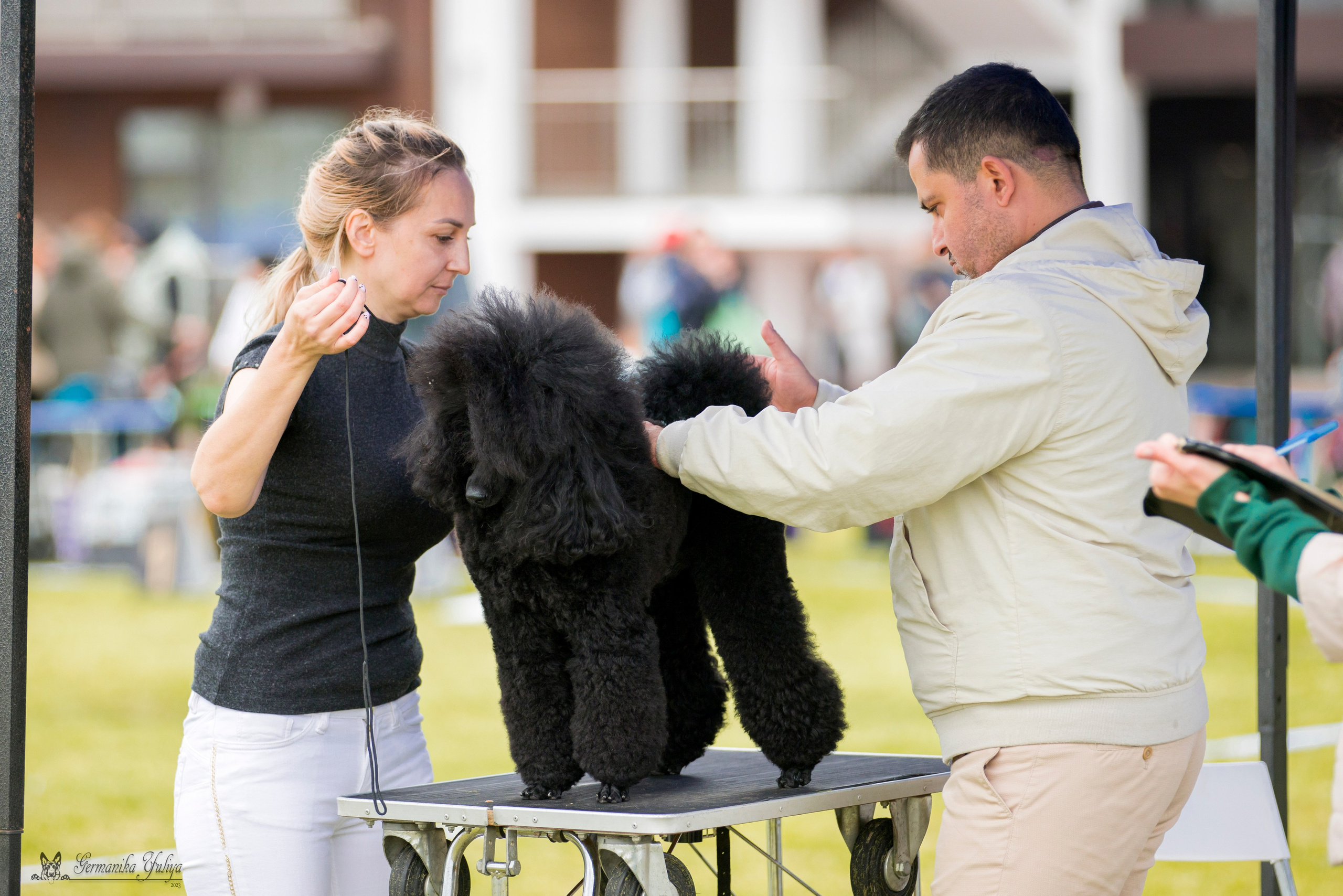 Переславль 9-10.09.2023. Фотограф-анималист Юлия Германика