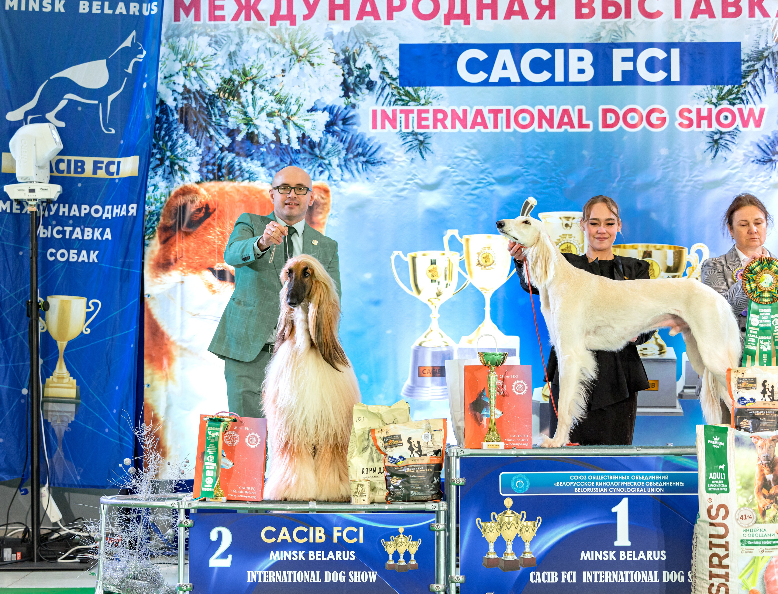 Минск 25-26.11.2023. Фотограф-анималист Юлия Германика