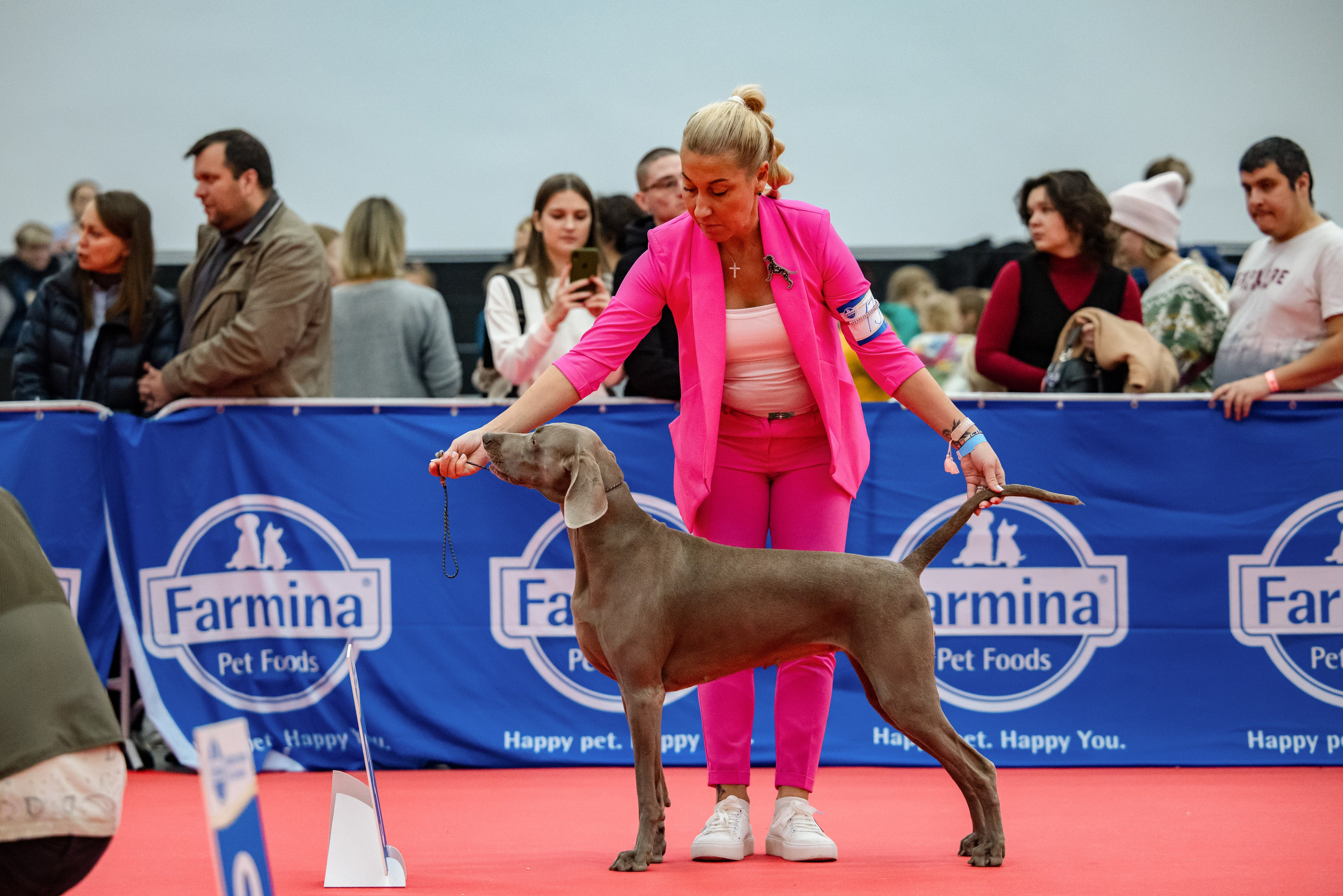 Нижний Новгород 21-22.10.2023. Фотограф-анималист Юлия Германика