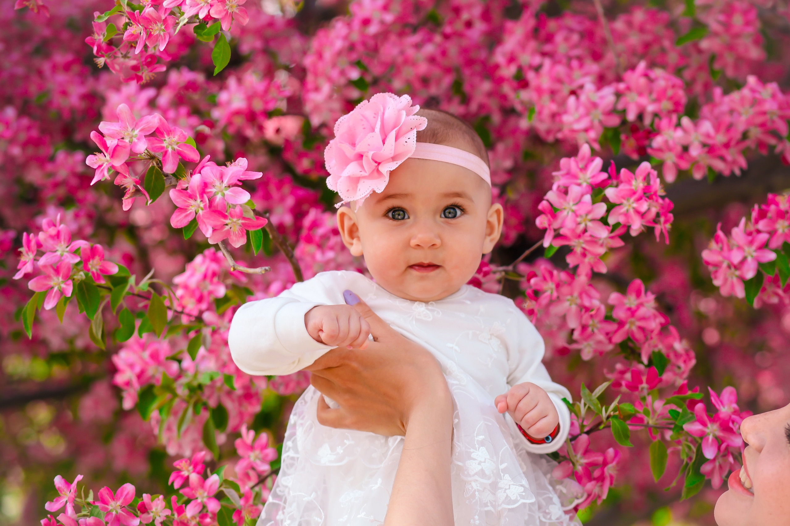 Цветущие сады. Фотограф Крещения, а также семейный и детский фотограф в Оренбурге