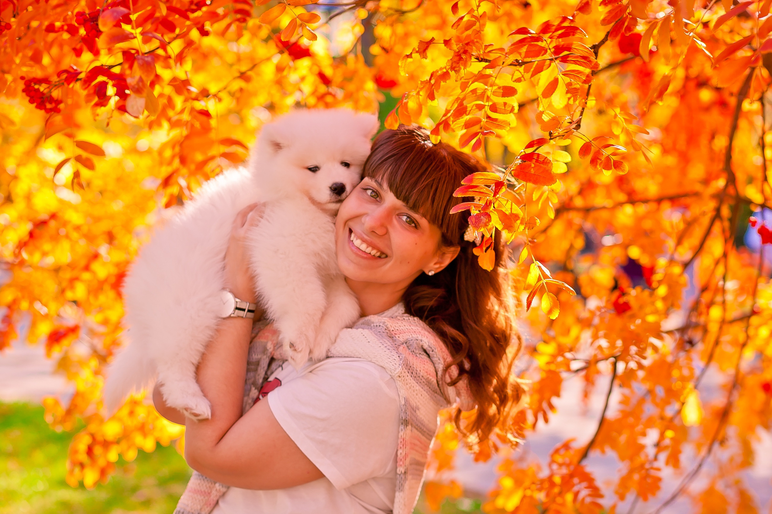 Фотодень с собачками. Фотограф Крещения, а также семейный и детский фотограф в Оренбурге