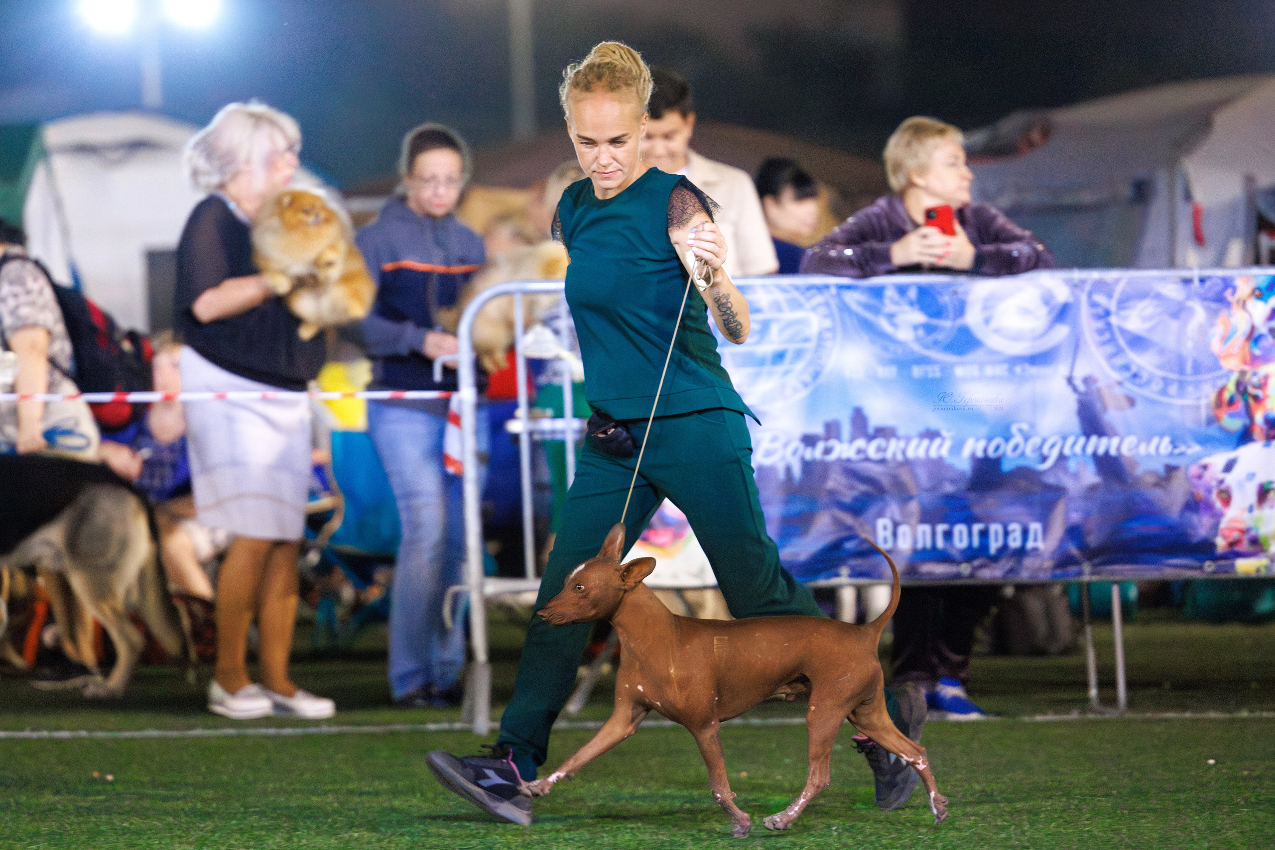 Волгоград 2-4.08.2024. Фотограф-анималист Юлия Германика