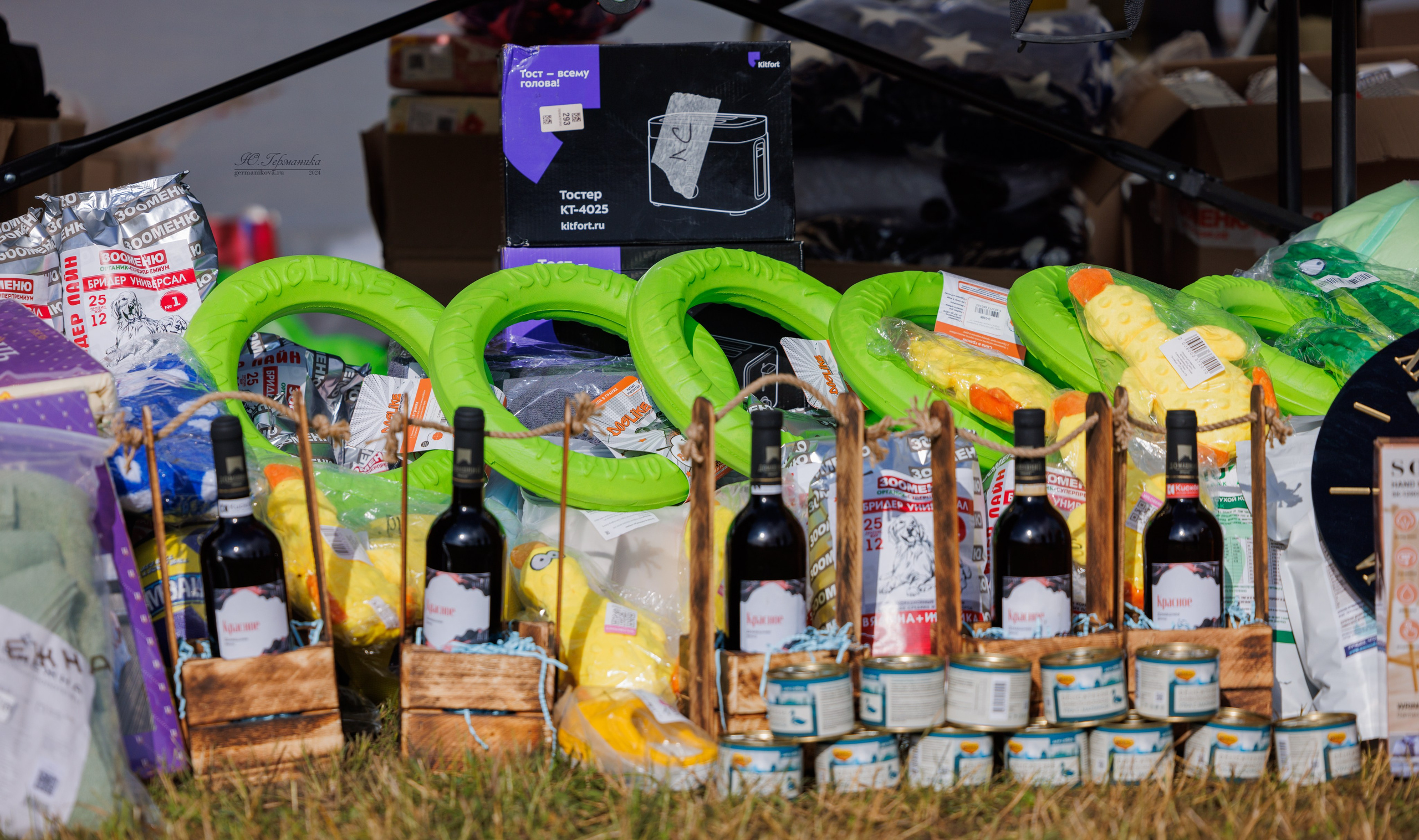 Рязань-Ховрино 10-11.08.2024 3хмоно ротвейлеров. Фотограф-анималист Юлия Германика