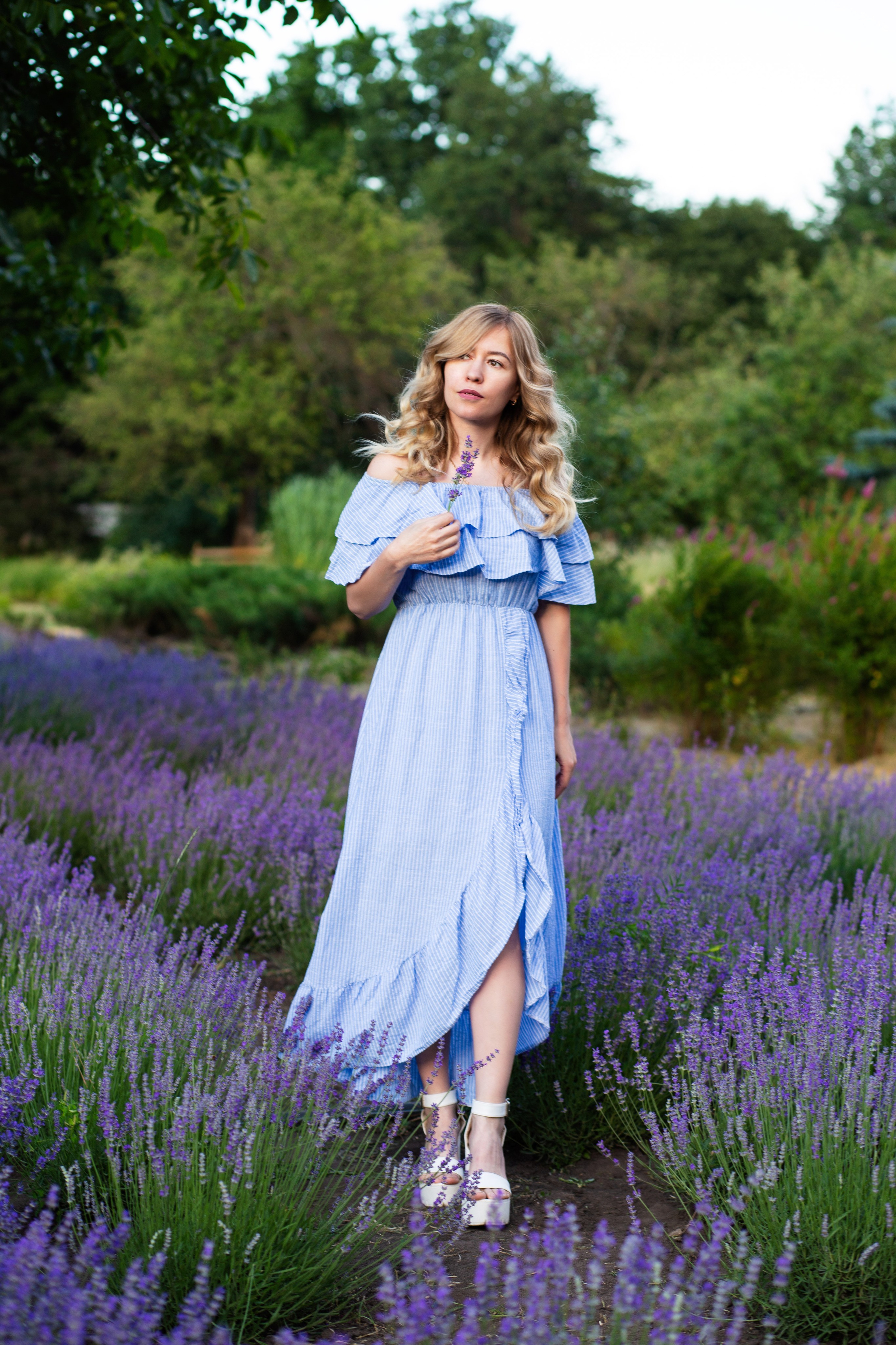 Фотосессии в лаванде Воронеж. Фотограф Тамара Нижельская Воронеж