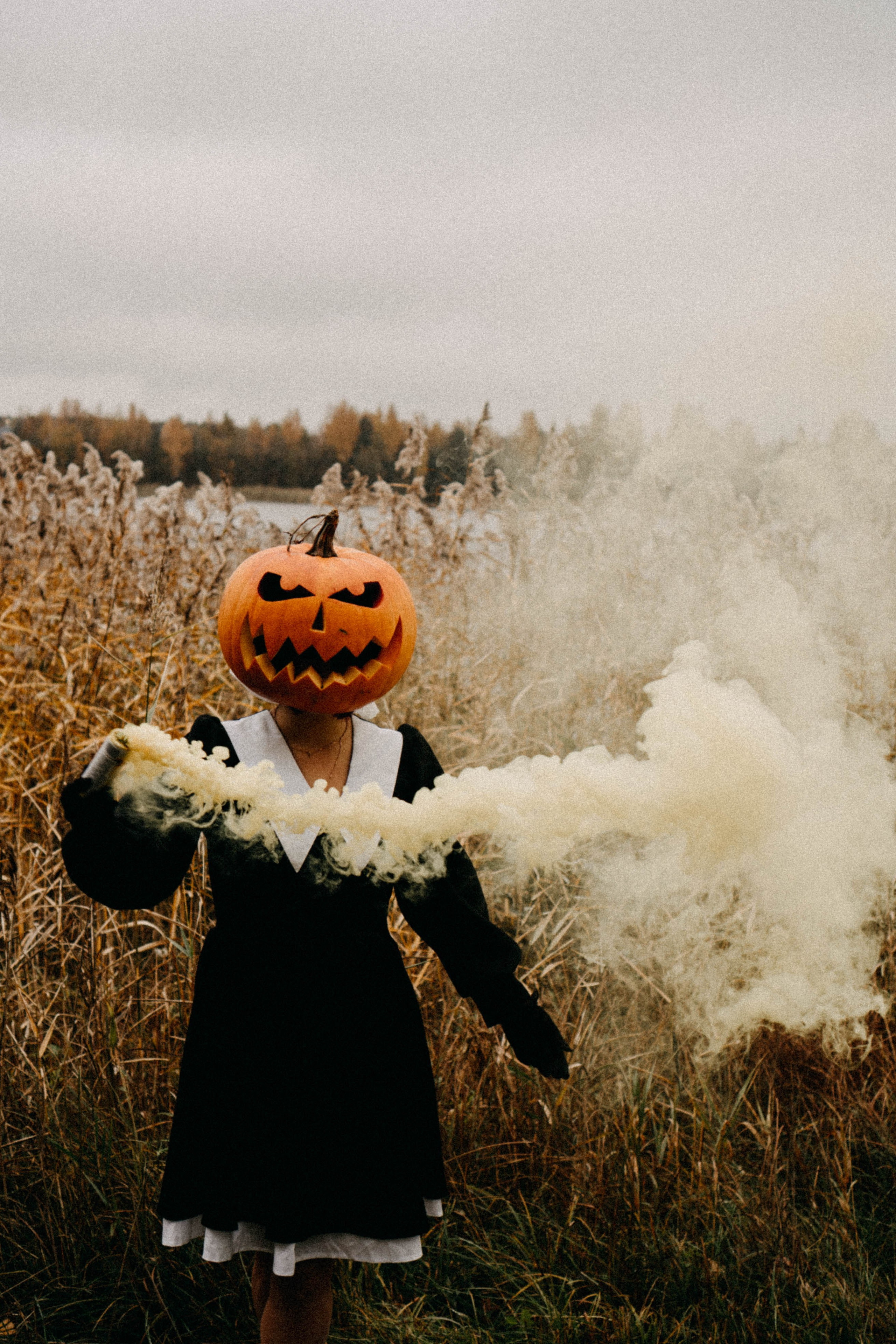 Осеняя. Профессиональный фотограф, Санкт-Петербург — Виктория Богомолова