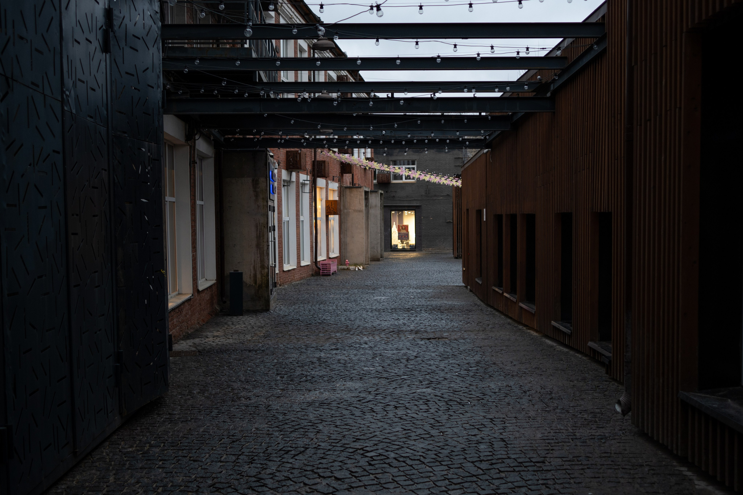 20250118 Павелецкая — Тульская. Дмитрий Ремизов. Фотография, как хобби