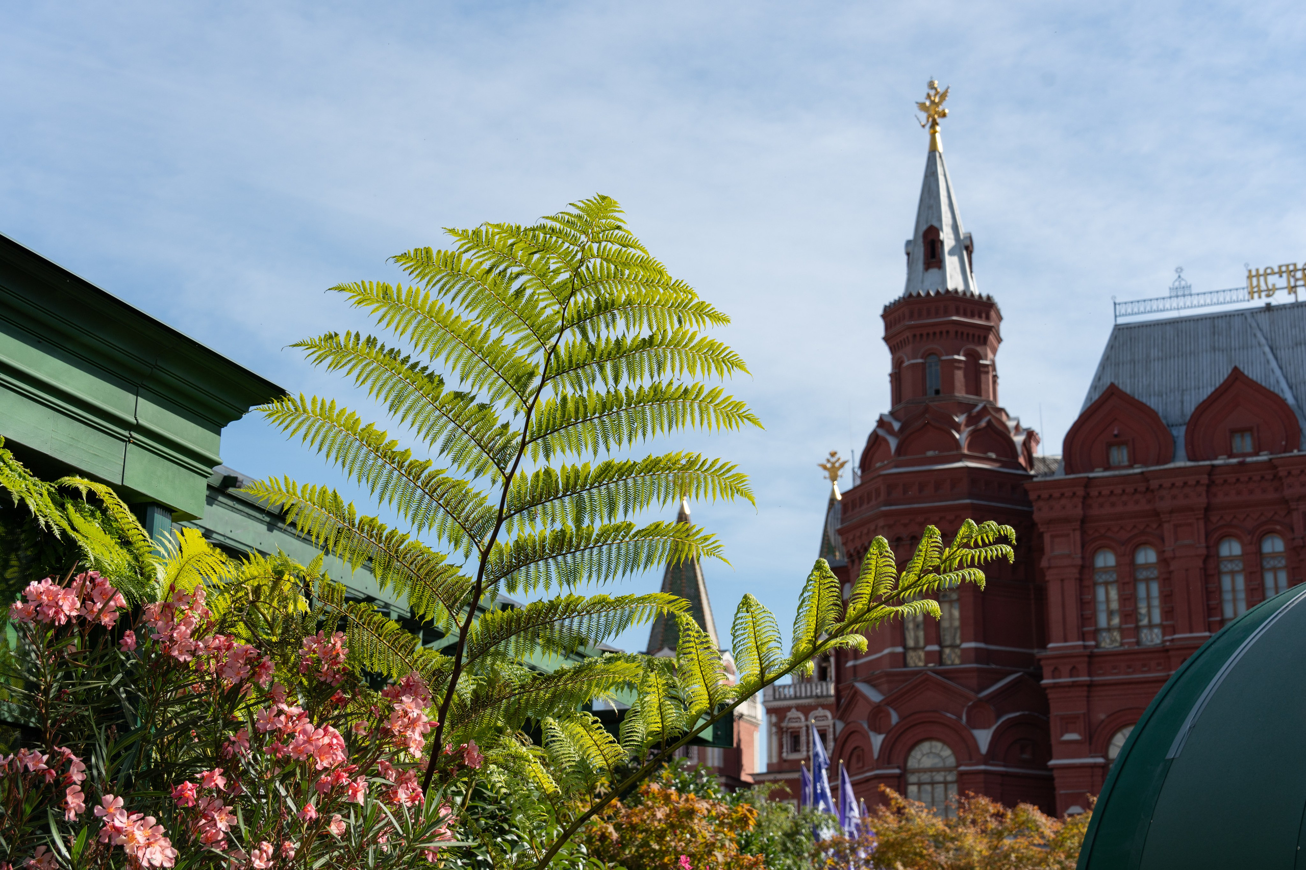 20250913 Новокузнецкая — Охотный ряд. Дмитрий Ремизов. Фотография, как хобби