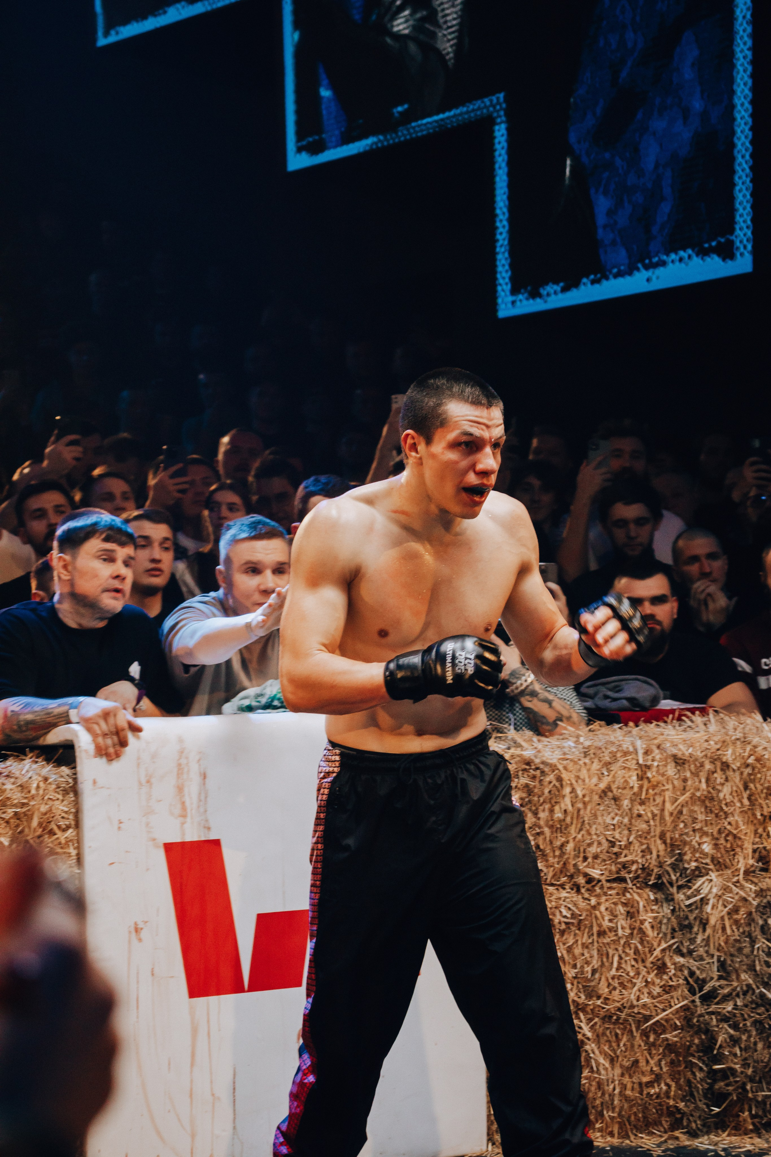 Кулачные бои TopDog. Анастасия Тен