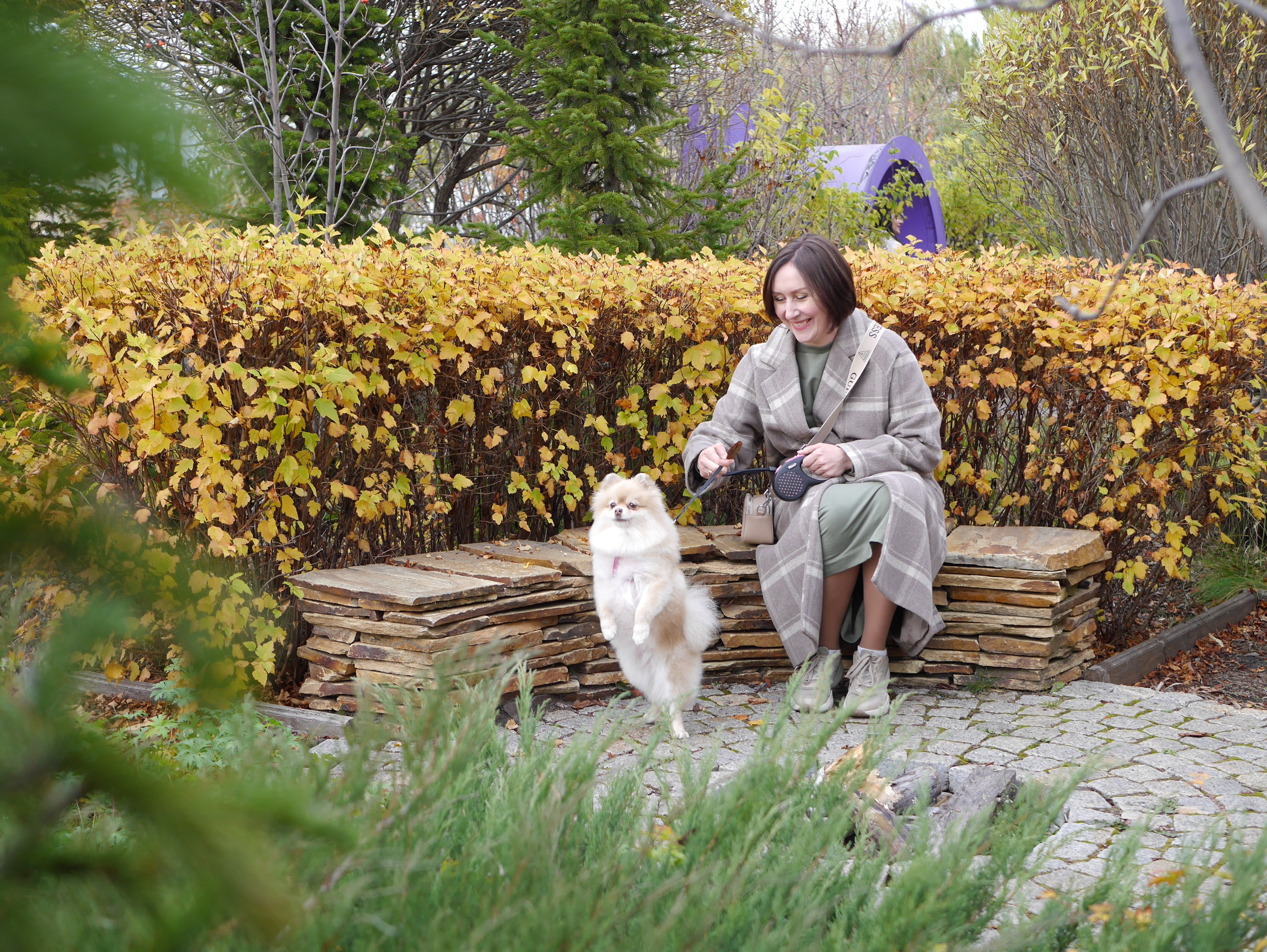 Съемка с любимым питомцем