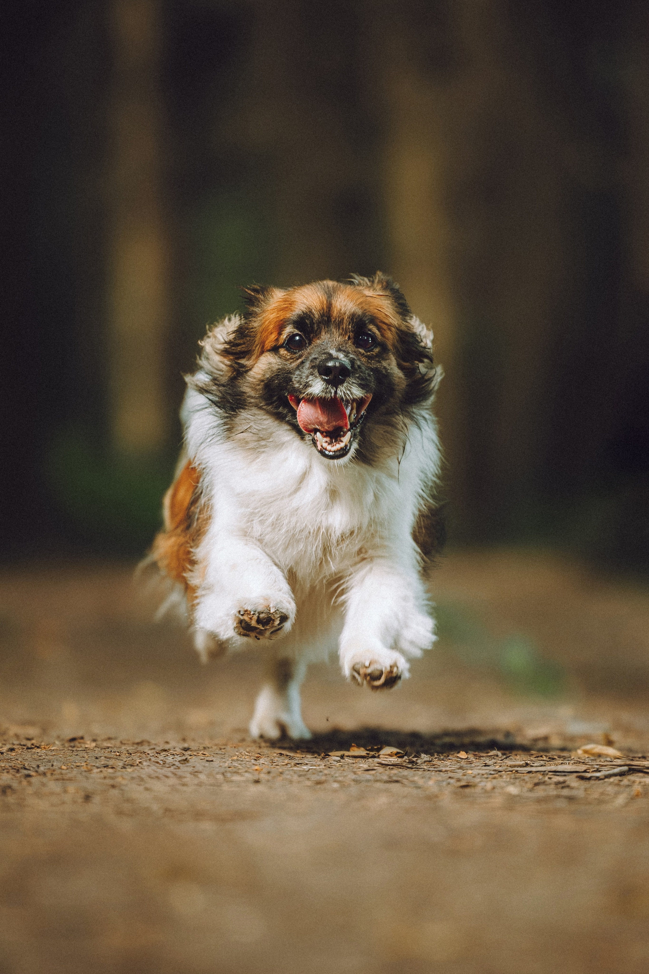 Катя, Андрей, Гектор, Ричи, Тортик и Трой