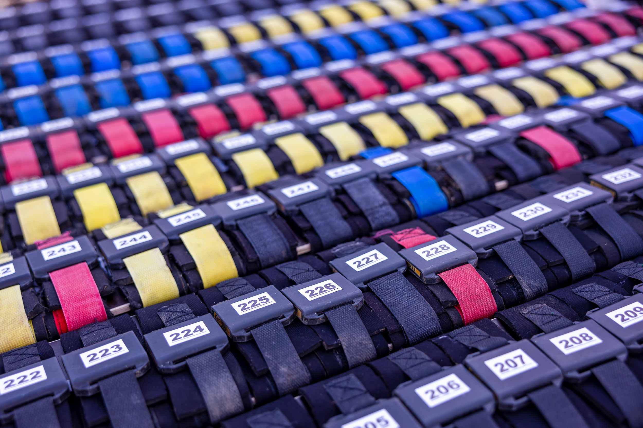 СБЕР. Зелёный марафон. Фотограф Александр Шалагин