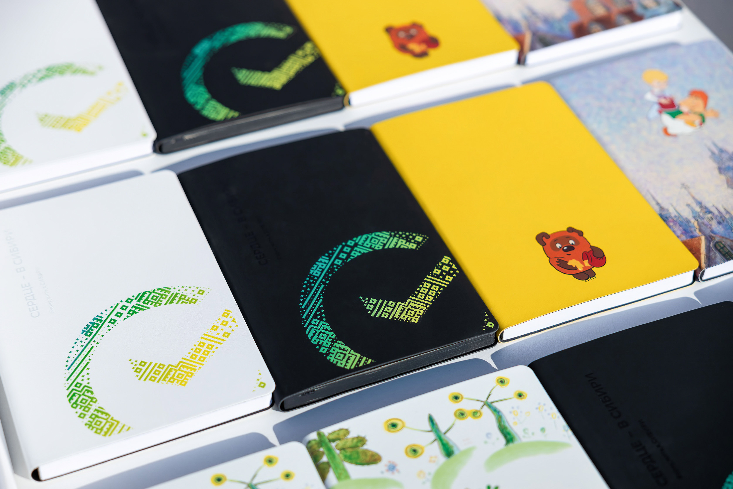 СБЕР. Зелёный марафон. Фотограф Александр Шалагин