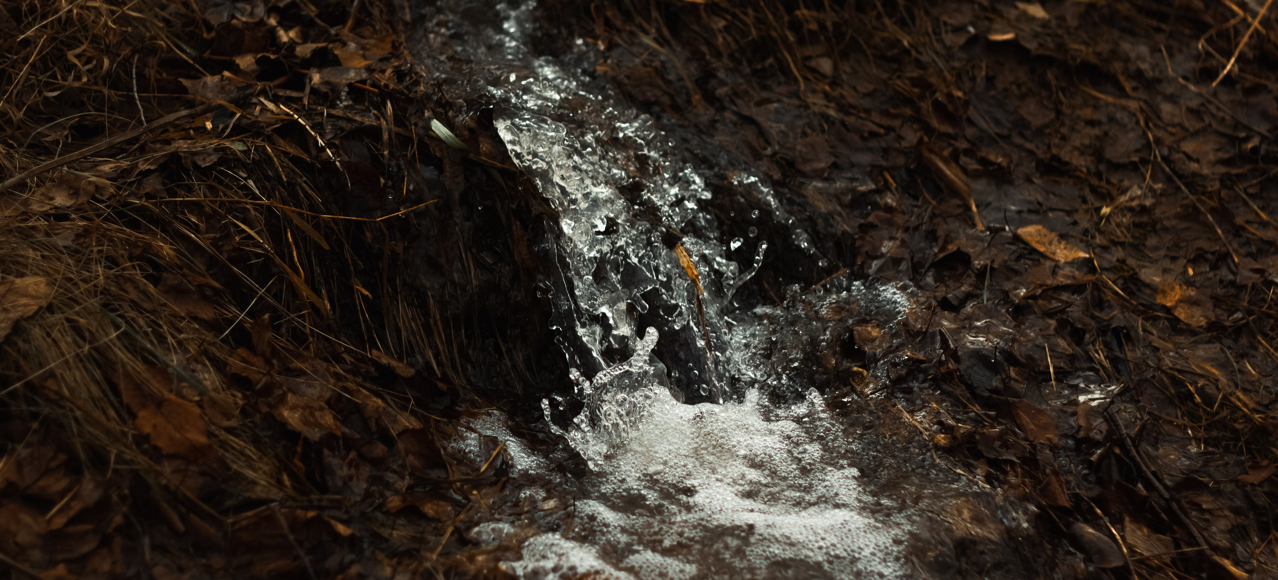 21.03.2025 | Сосновоборск. Kuznetsov | Фотограф в Красноярске