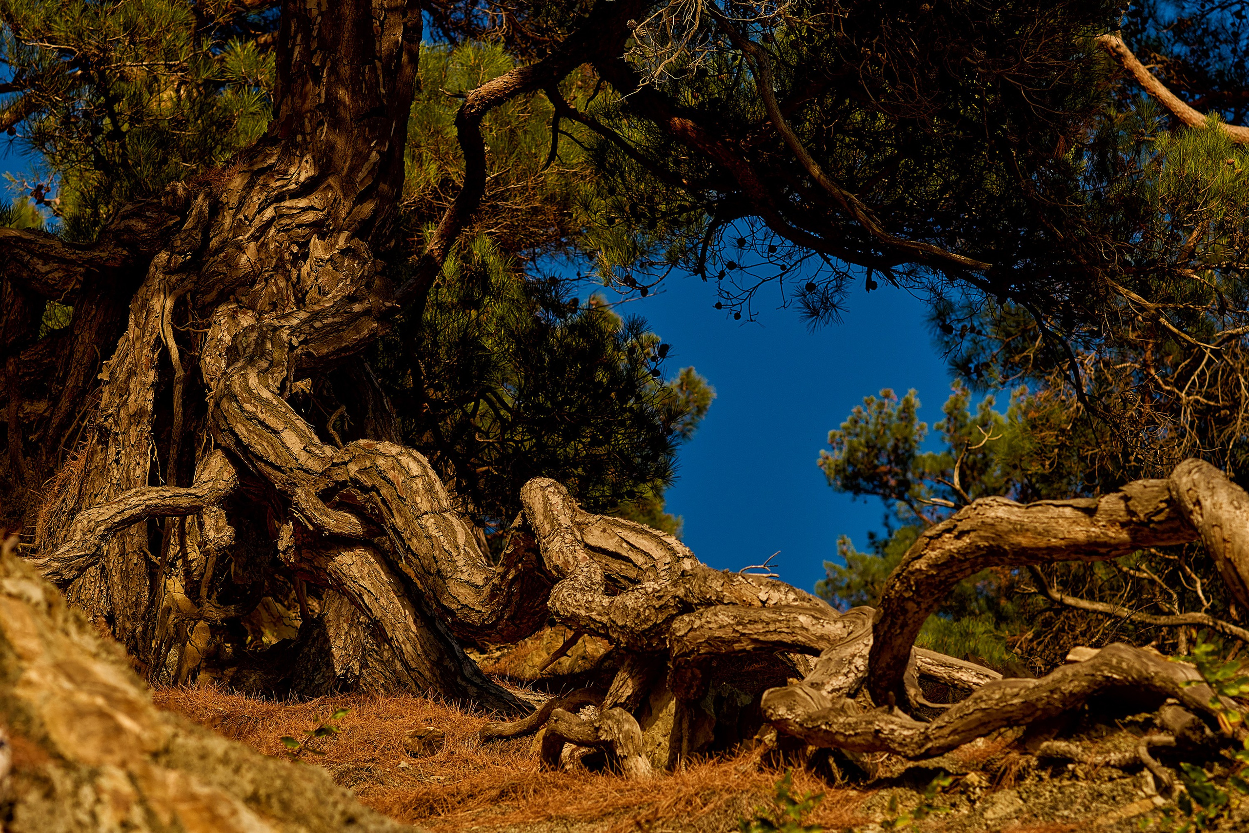 Текстуры и другие фоны. Textures and other. Яркие фото на Чёрном море