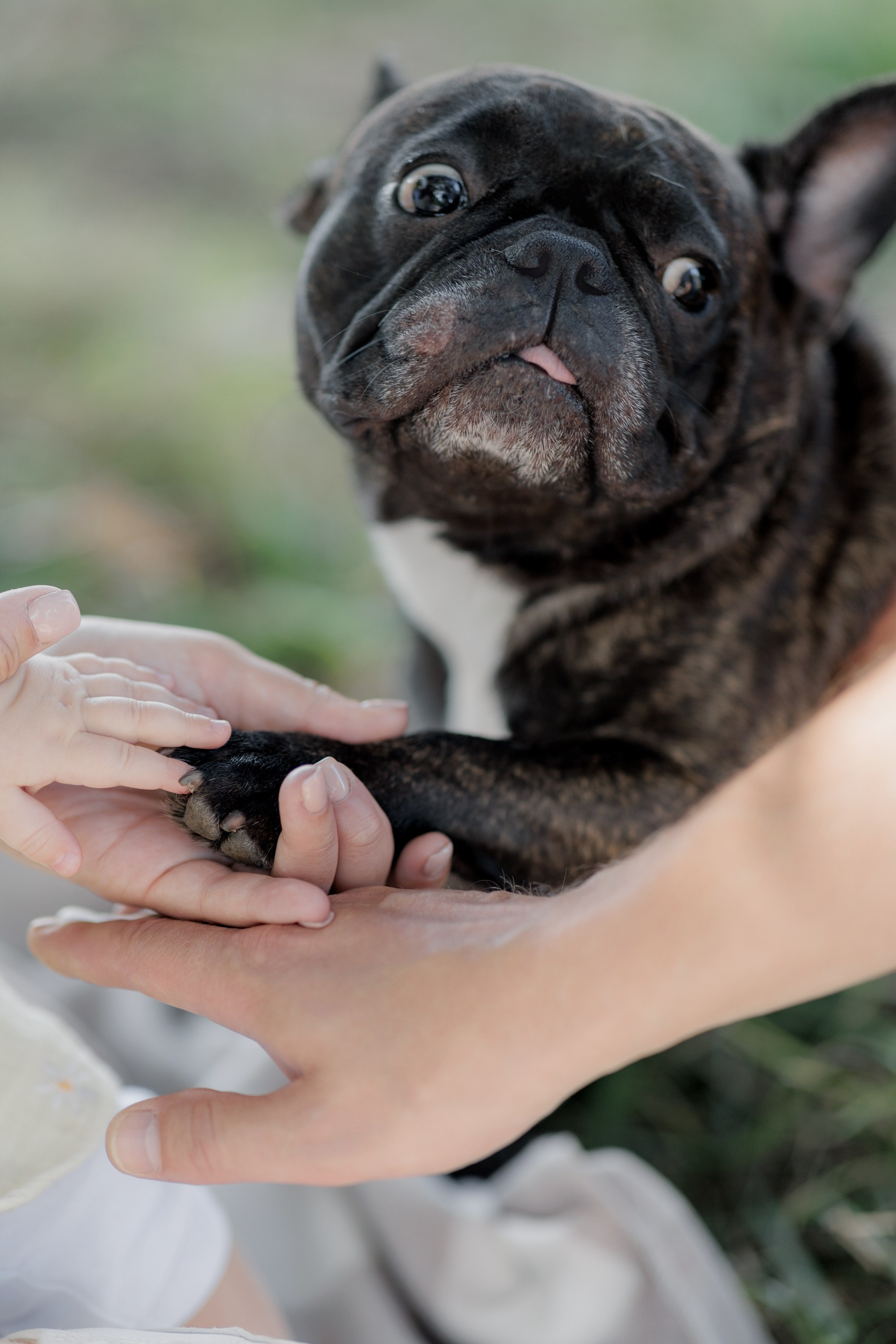 Теплая история в парке. Кравченко Сергей — фотограф для тебя в Москве