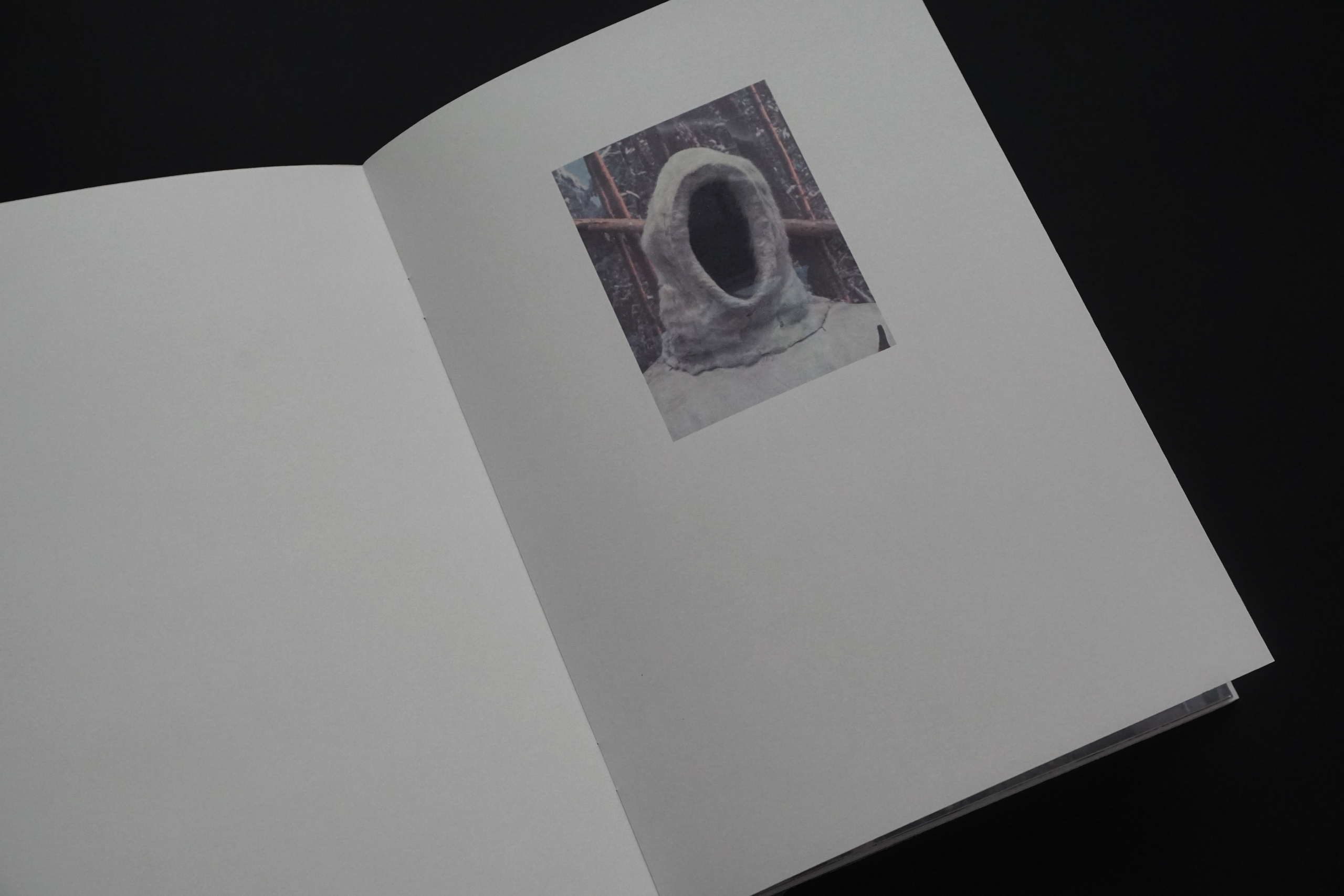 Overview. Anastasia Maryasova